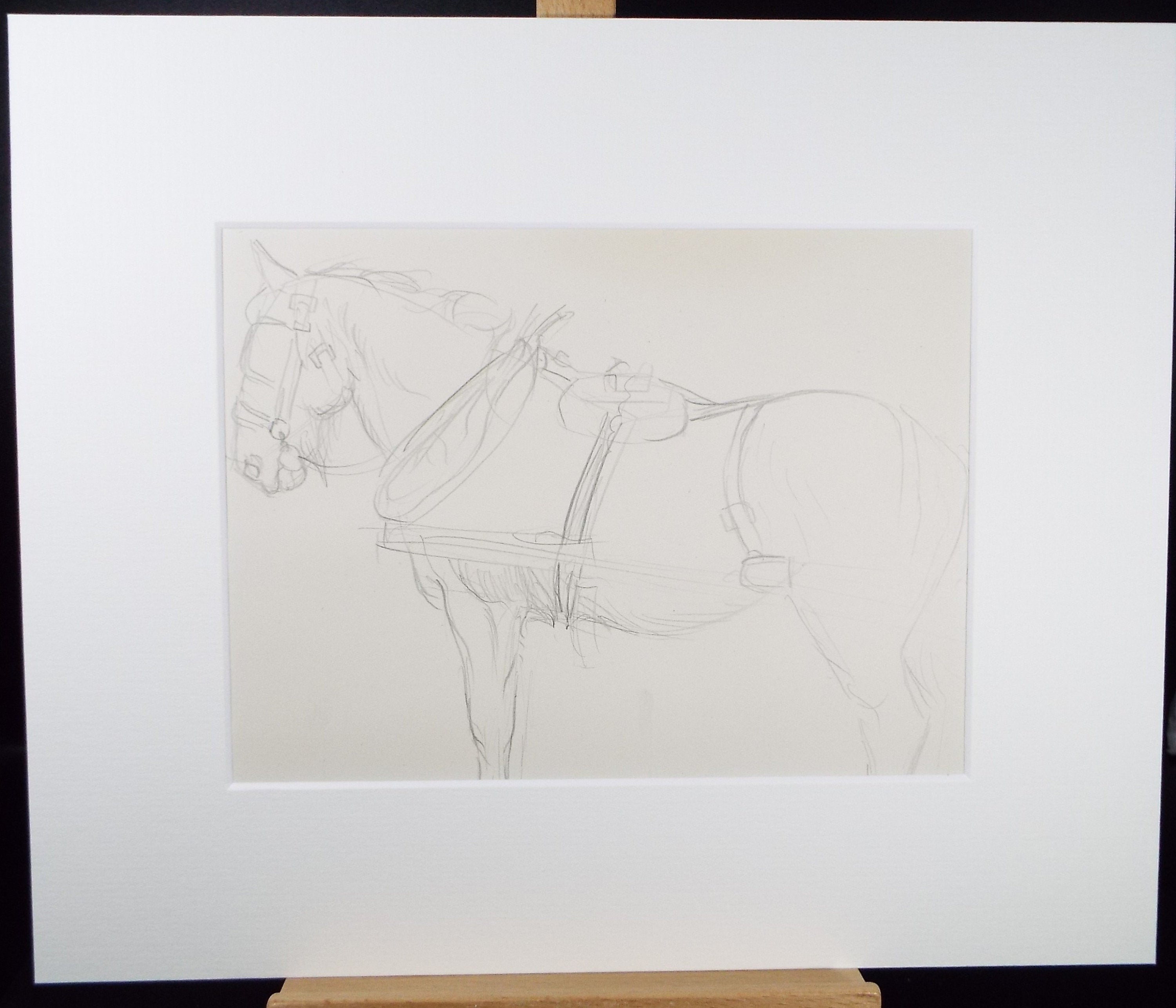 Original Pencil Sketch,'Study of a Heavy horse', Helen Collins (1921-1990), circa 1938/9