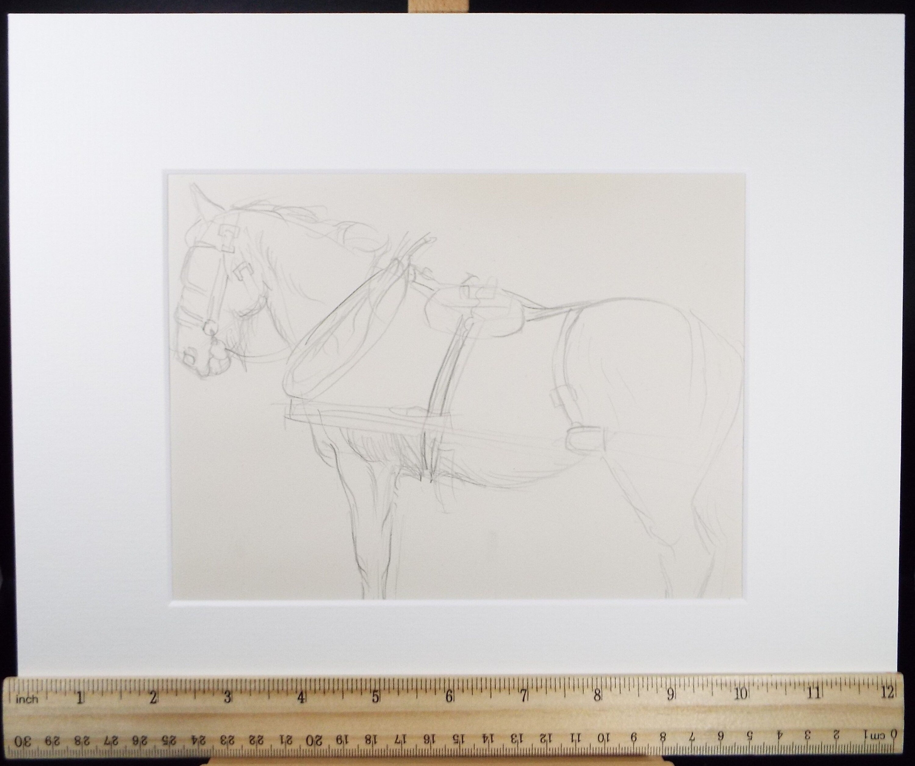 Original Pencil Sketch,'Study of a Heavy horse', Helen Collins (1921-1990), circa 1938/9