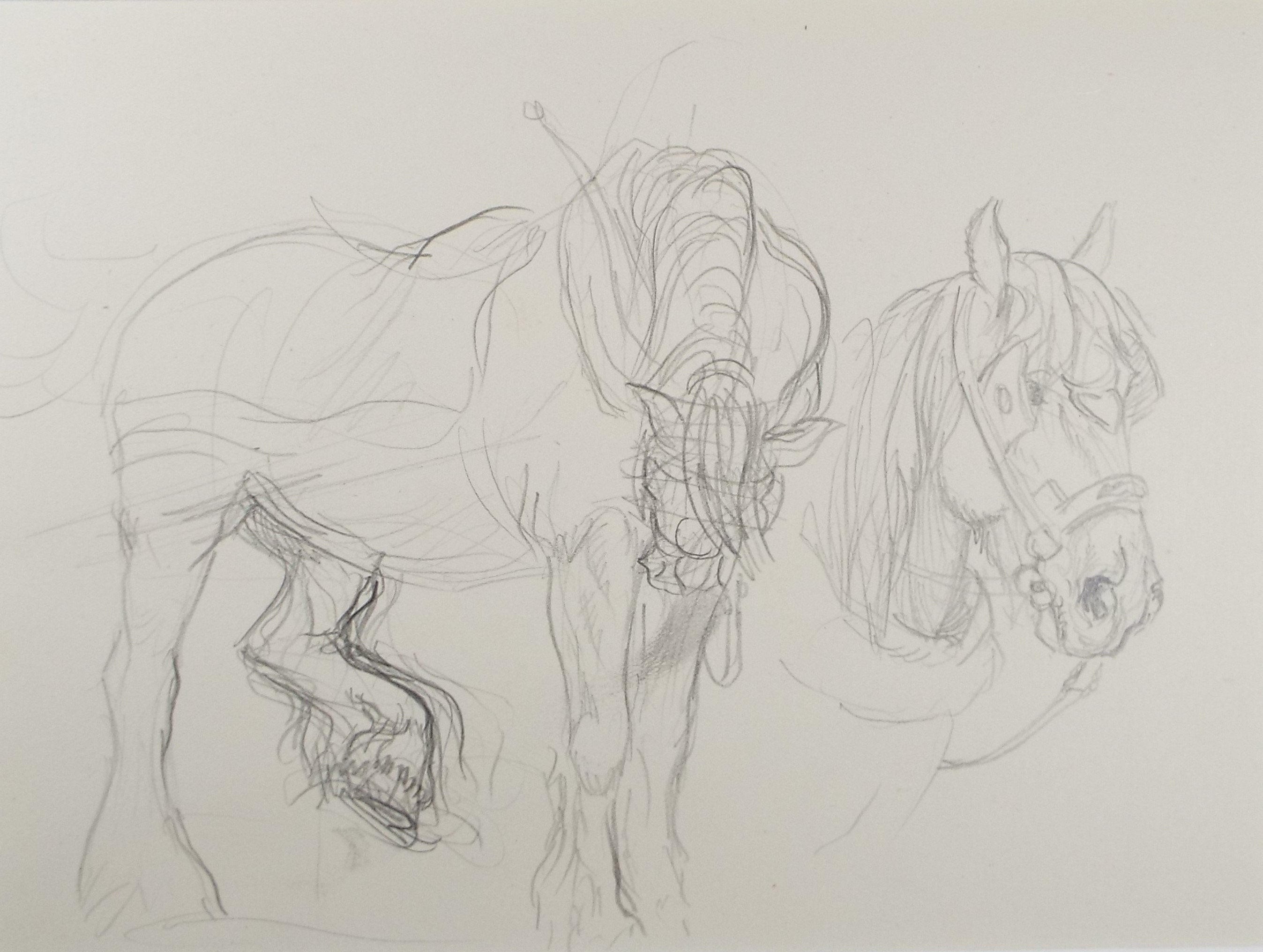Original Pencil Sketch,'Study of Heavy horses', Helen Collins (1921-1990), circa 1938/9