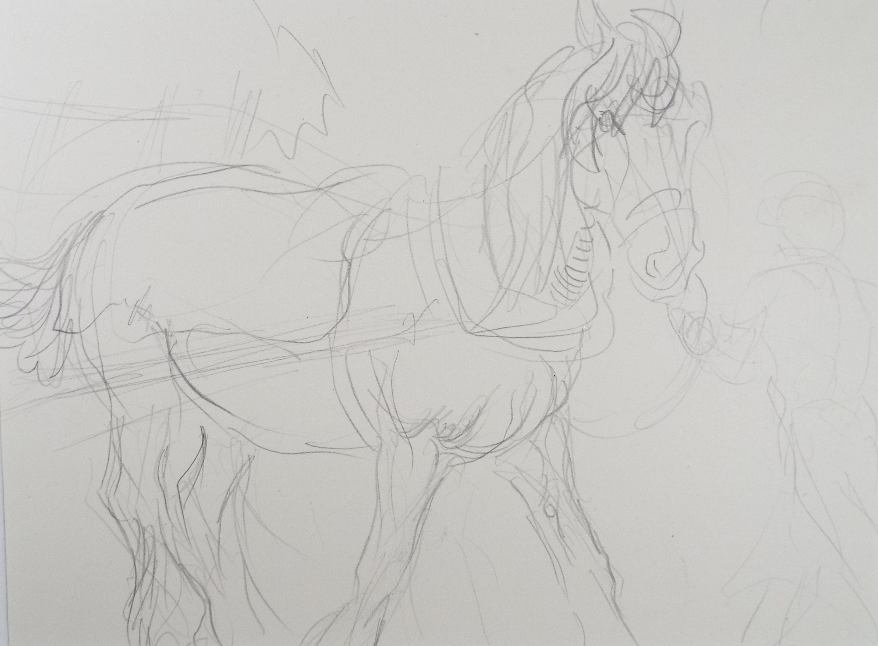 Original Pencil Sketch,'Study of a Heavy horse', Helen Collins (1921-1990), circa 1938/9