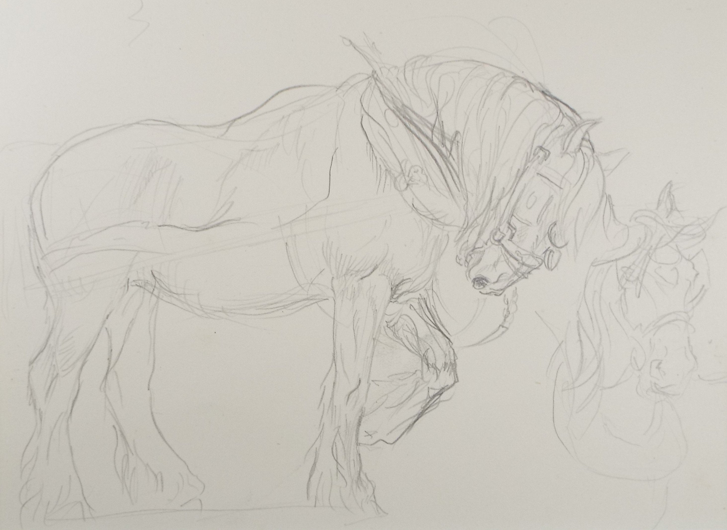 Original Pencil Sketch,'Study of Heavy horses', Helen Collins (1921-1990), circa 1938/9