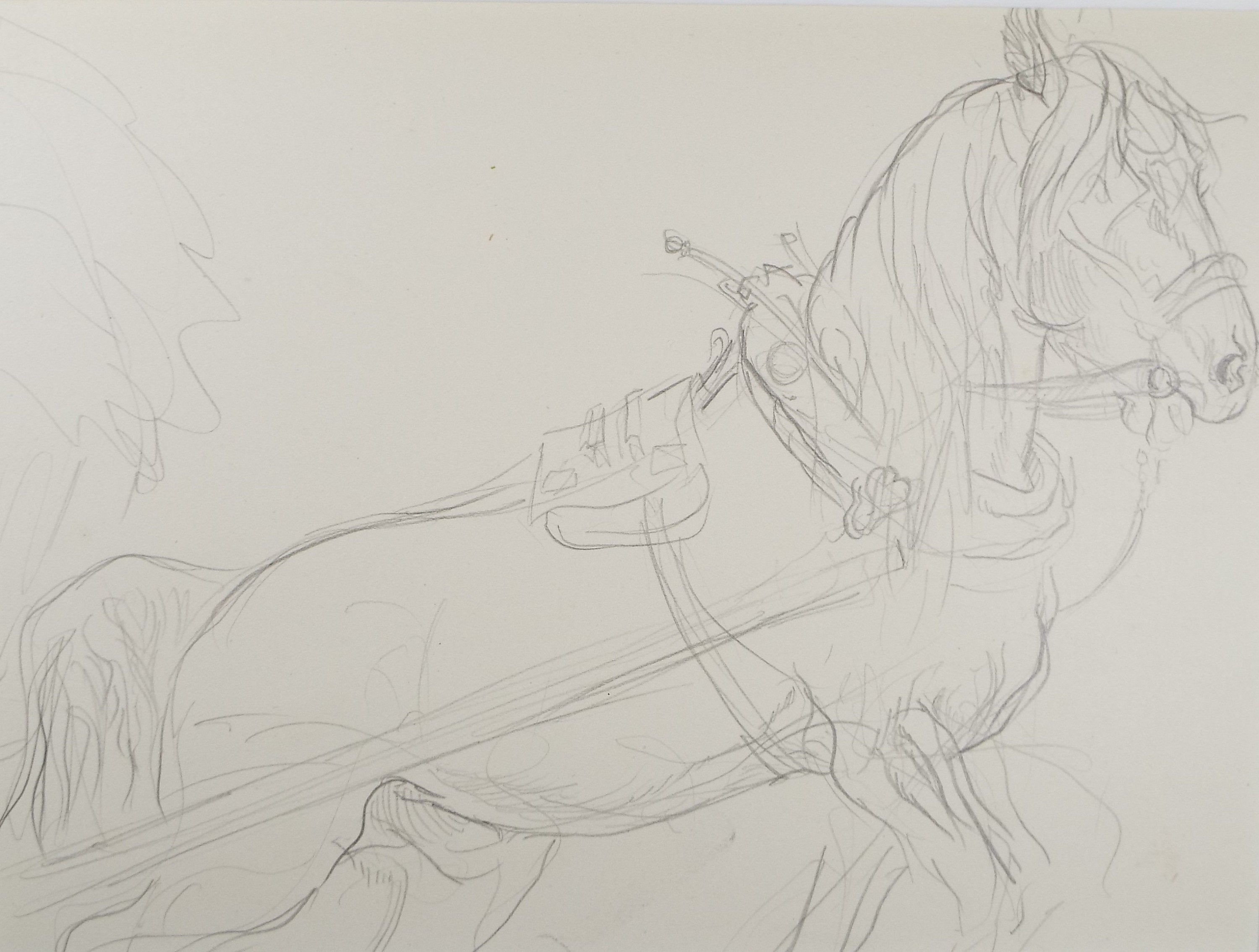 Original Pencil Sketch,'Study of a Heavy horse', Helen Collins (1921-1990), circa 1938/9