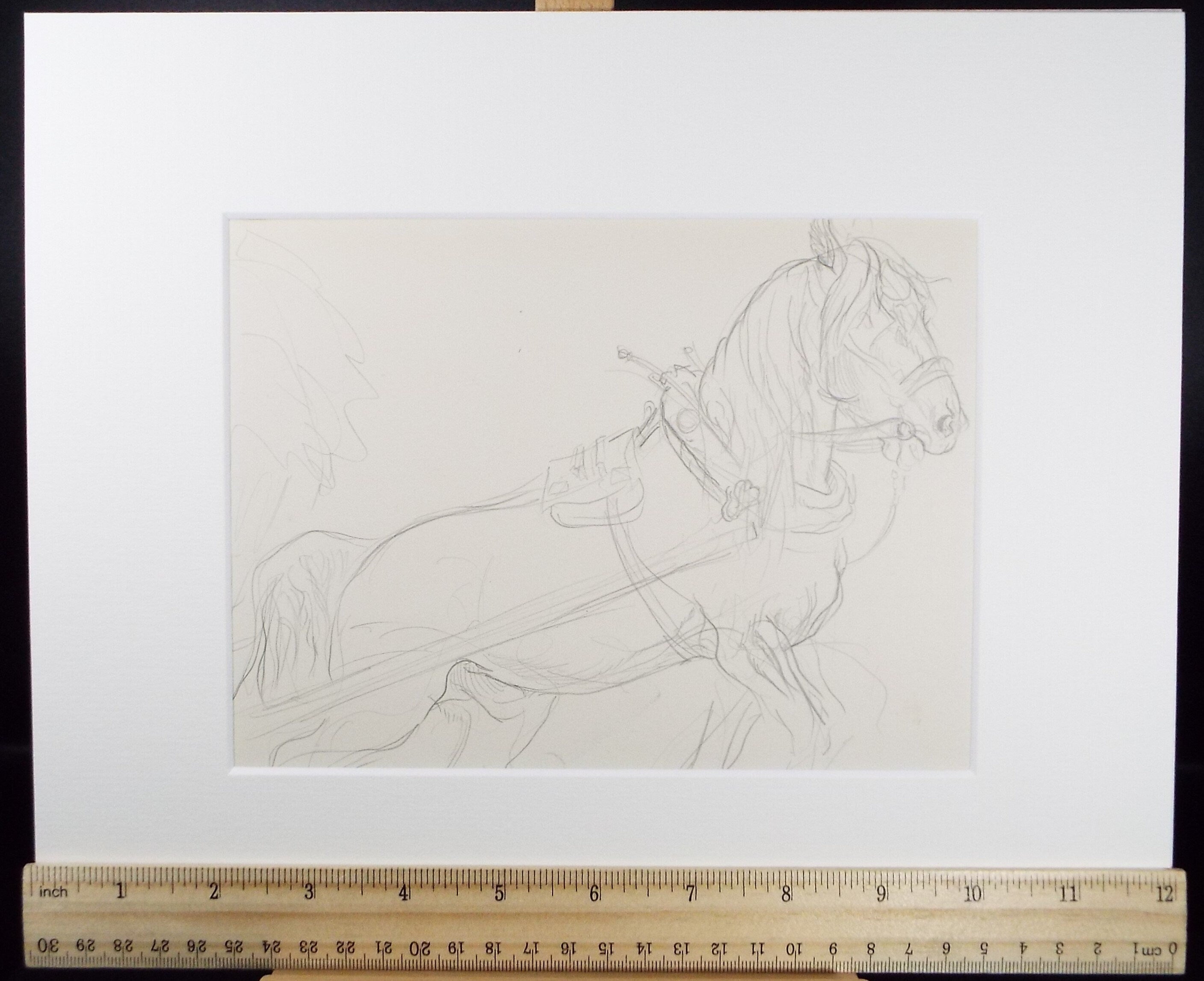 Original Pencil Sketch,'Study of a Heavy horse', Helen Collins (1921-1990), circa 1938/9