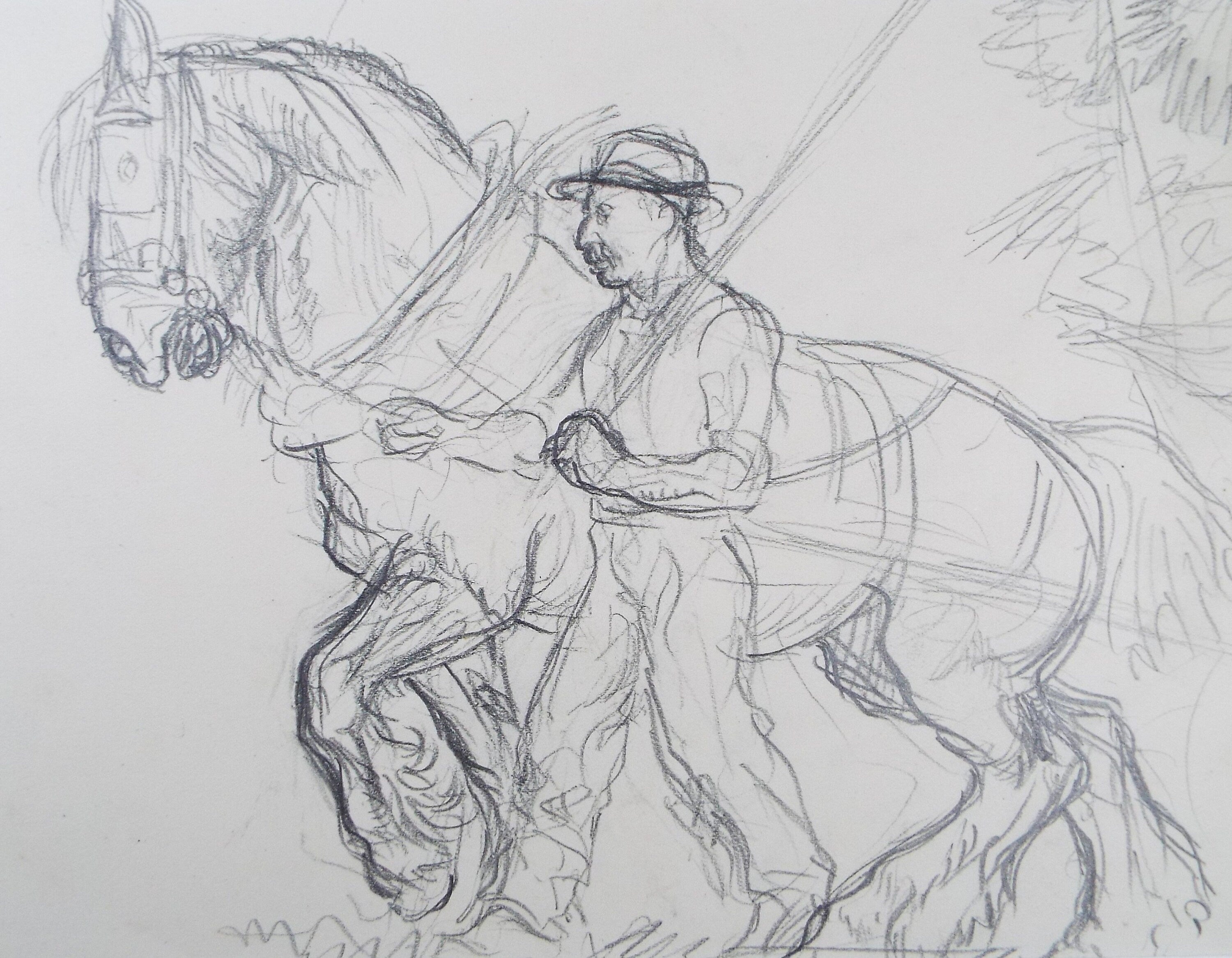 Original Pencil Sketch,'Study of a Heavy horse', Helen Collins (1921-1990), circa 1938/9