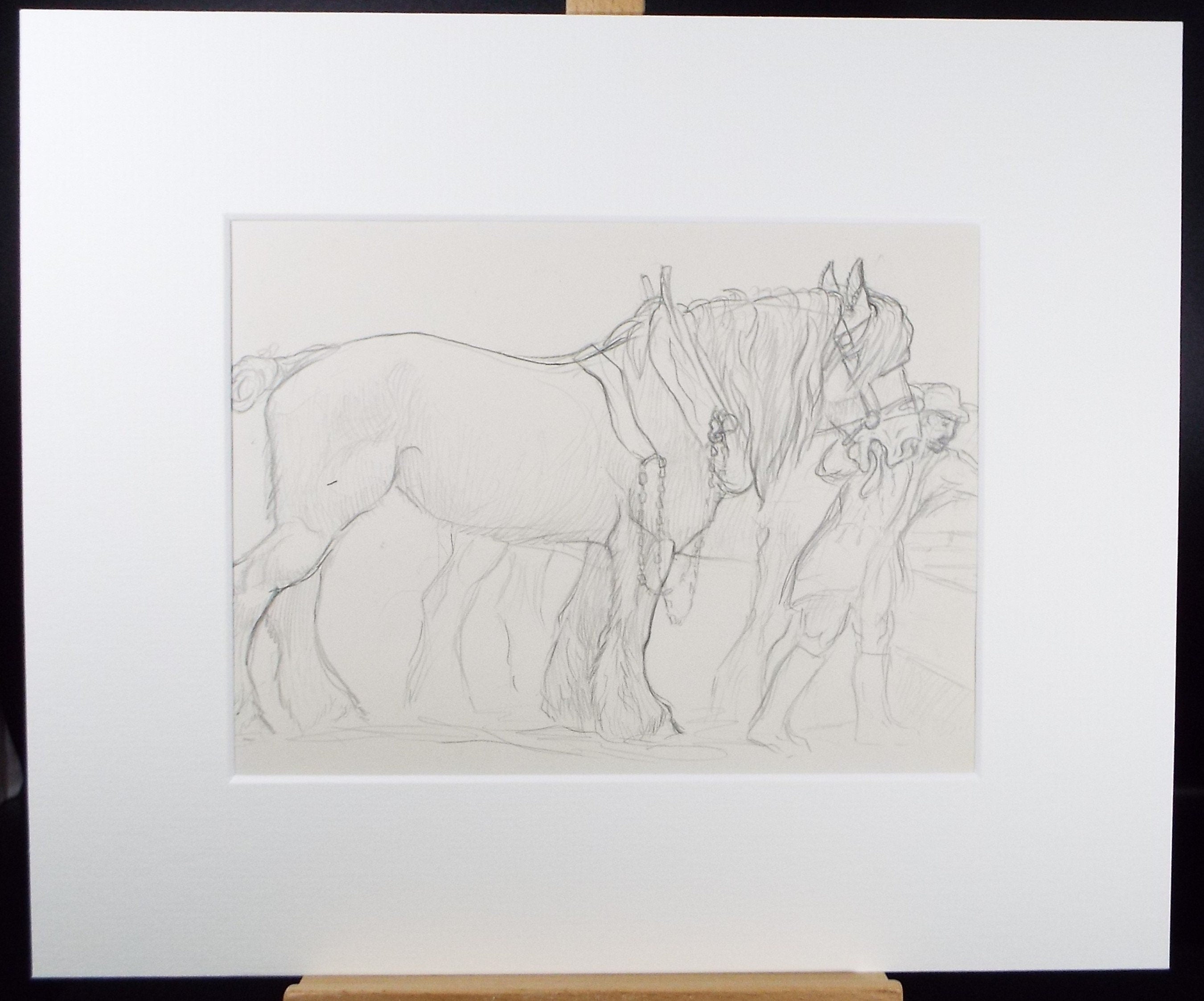 Original Pencil Sketch,'Study of a Heavy horse', Helen Collins (1921-1990), circa 1938/9