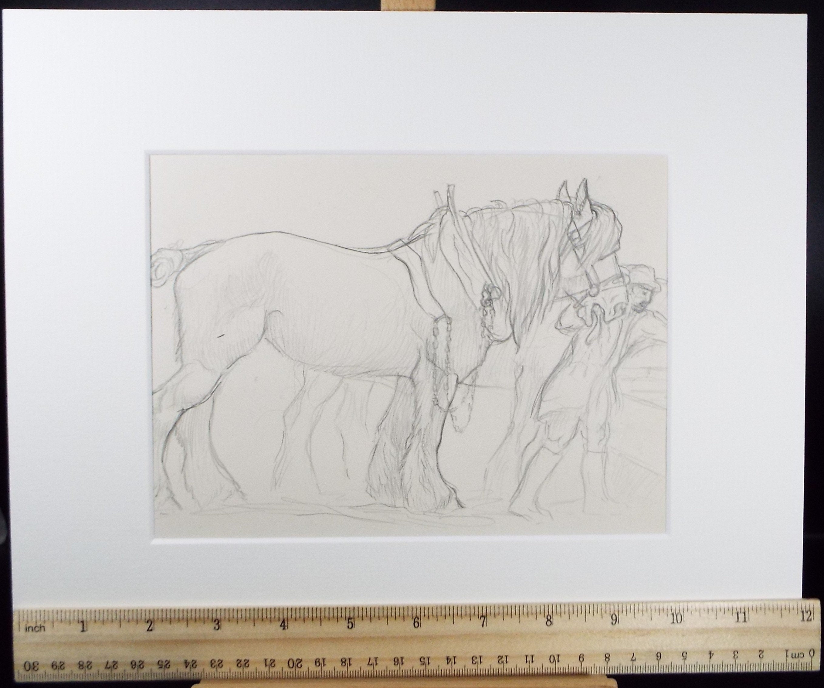 Original Pencil Sketch,'Study of a Heavy horse', Helen Collins (1921-1990), circa 1938/9
