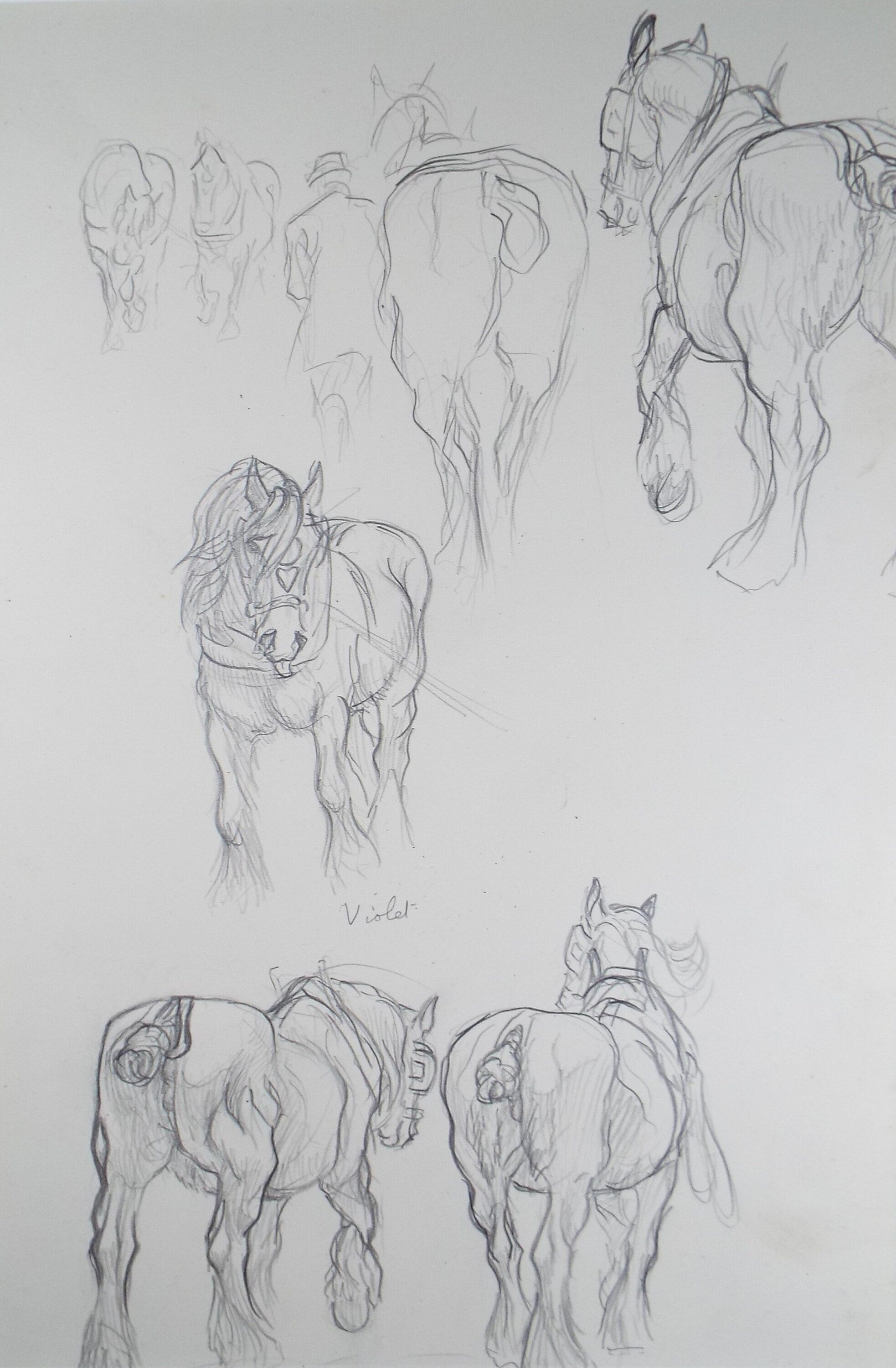 Original Pencil Sketch,'Study Heavy Horses', Helen Collins (1921-1990), circa 1938/9