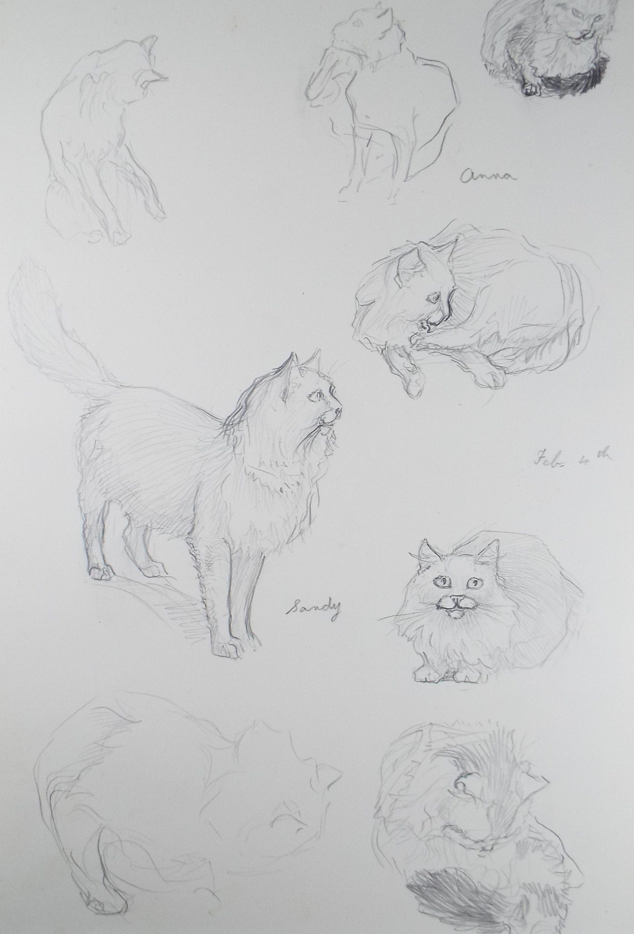 Original Pencil Sketch,'Study of cats', Helen Collins (1921-1990), circa 1938/9