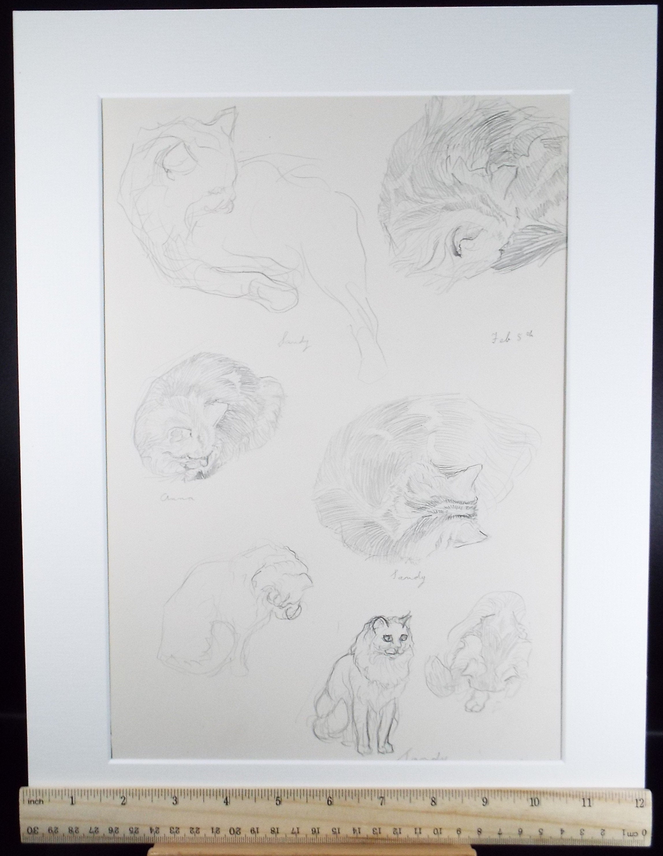 Original Pencil Sketch,'Study of cats', Helen Collins (1921-1990), circa 1938/9