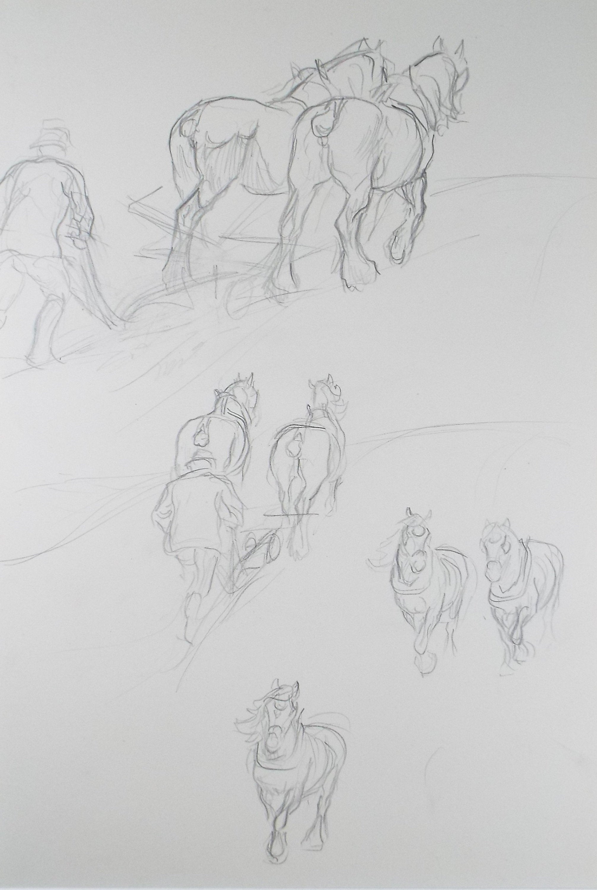 Original Pencil Sketch,'Study Heavy Horses', Helen Collins (1921-1990), circa 1938/9