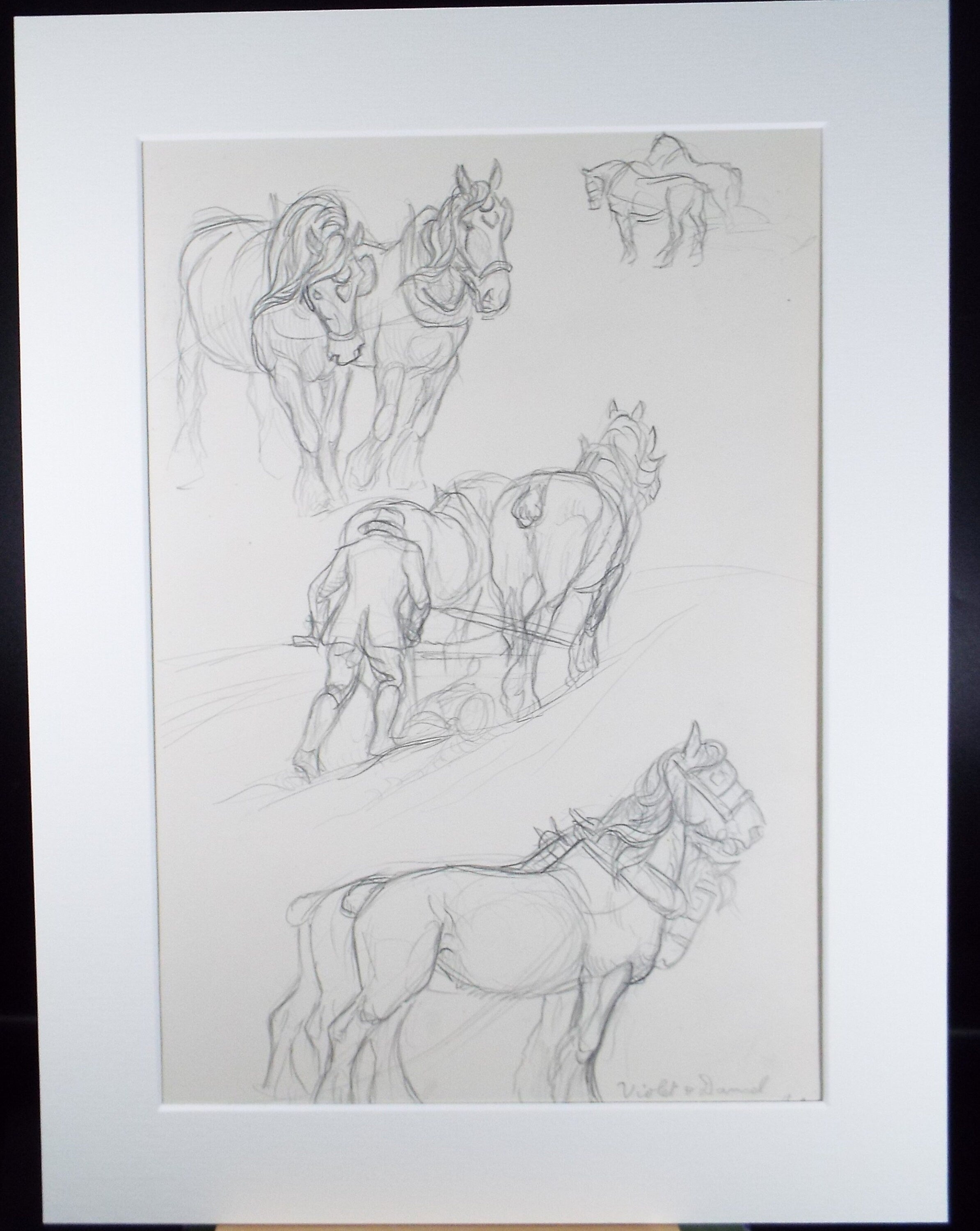 Original Pencil Sketch,'Study of Heavy Horses', Helen Collins (1921-1990), circa 1938/9