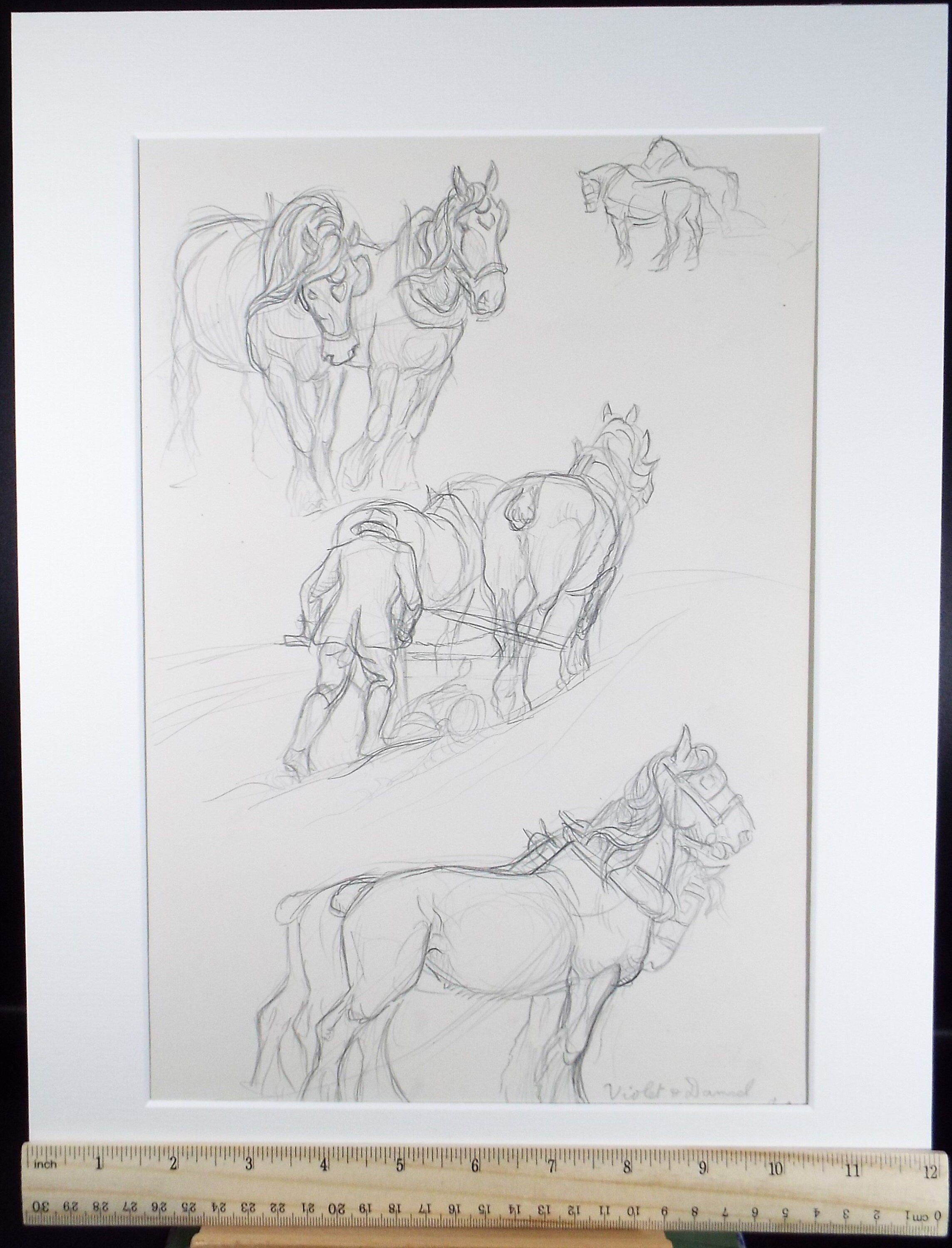 Original Pencil Sketch,'Study of Heavy Horses', Helen Collins (1921-1990), circa 1938/9
