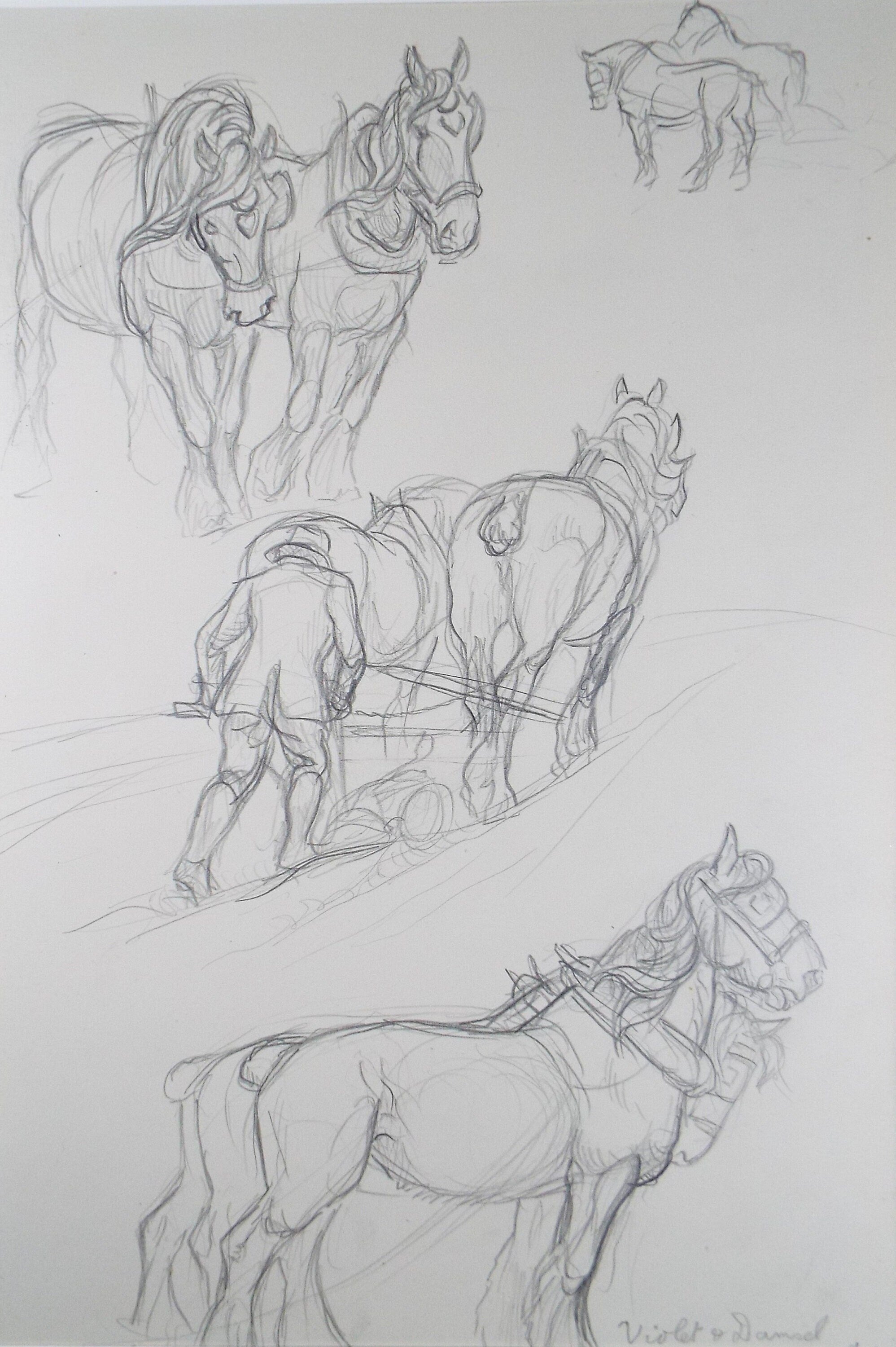 Original Pencil Sketch,'Study of Heavy Horses', Helen Collins (1921-1990), circa 1938/9