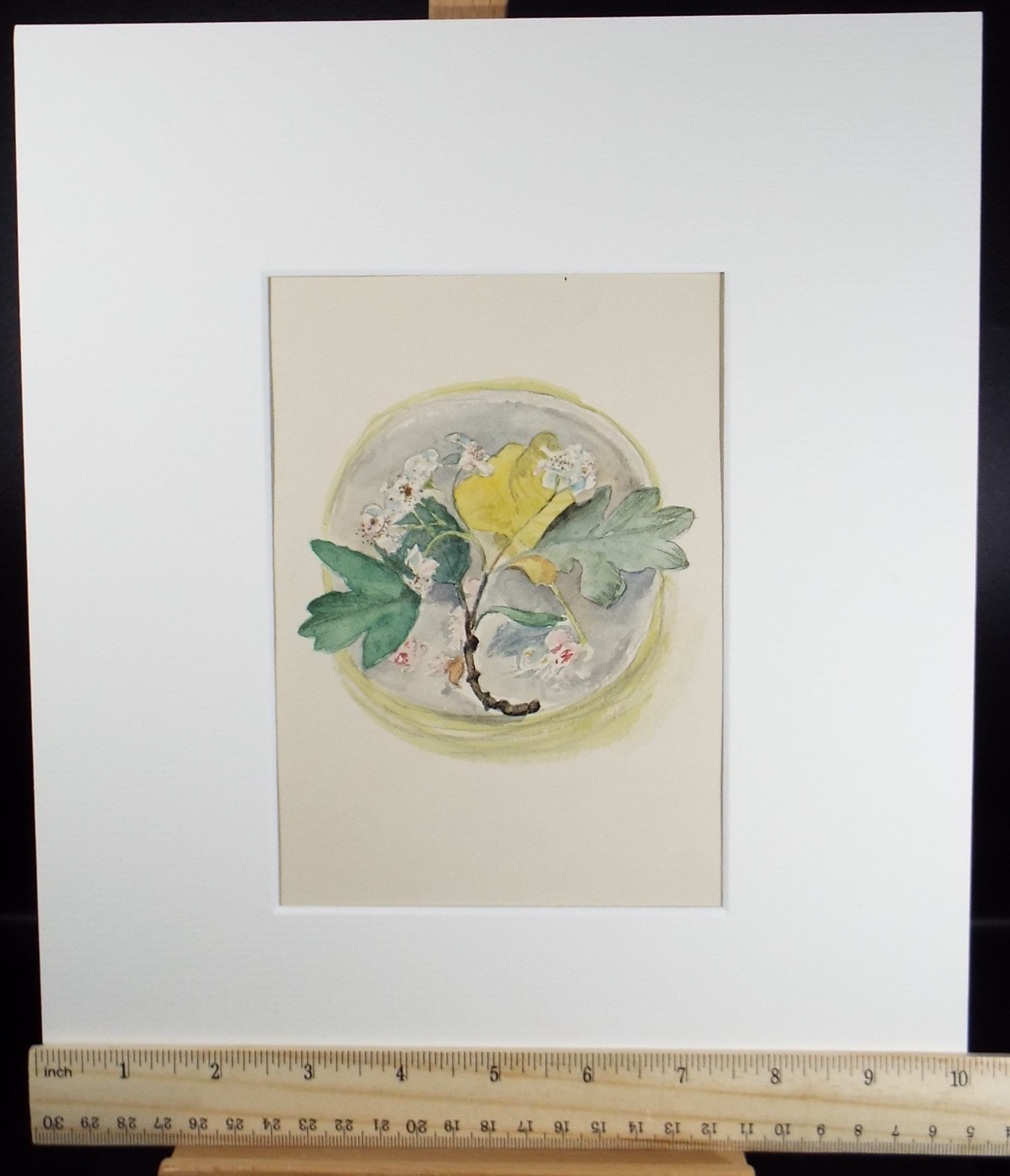 Original watercolour 'A Study of Blossom', Unknown artist, Circa 1950's
