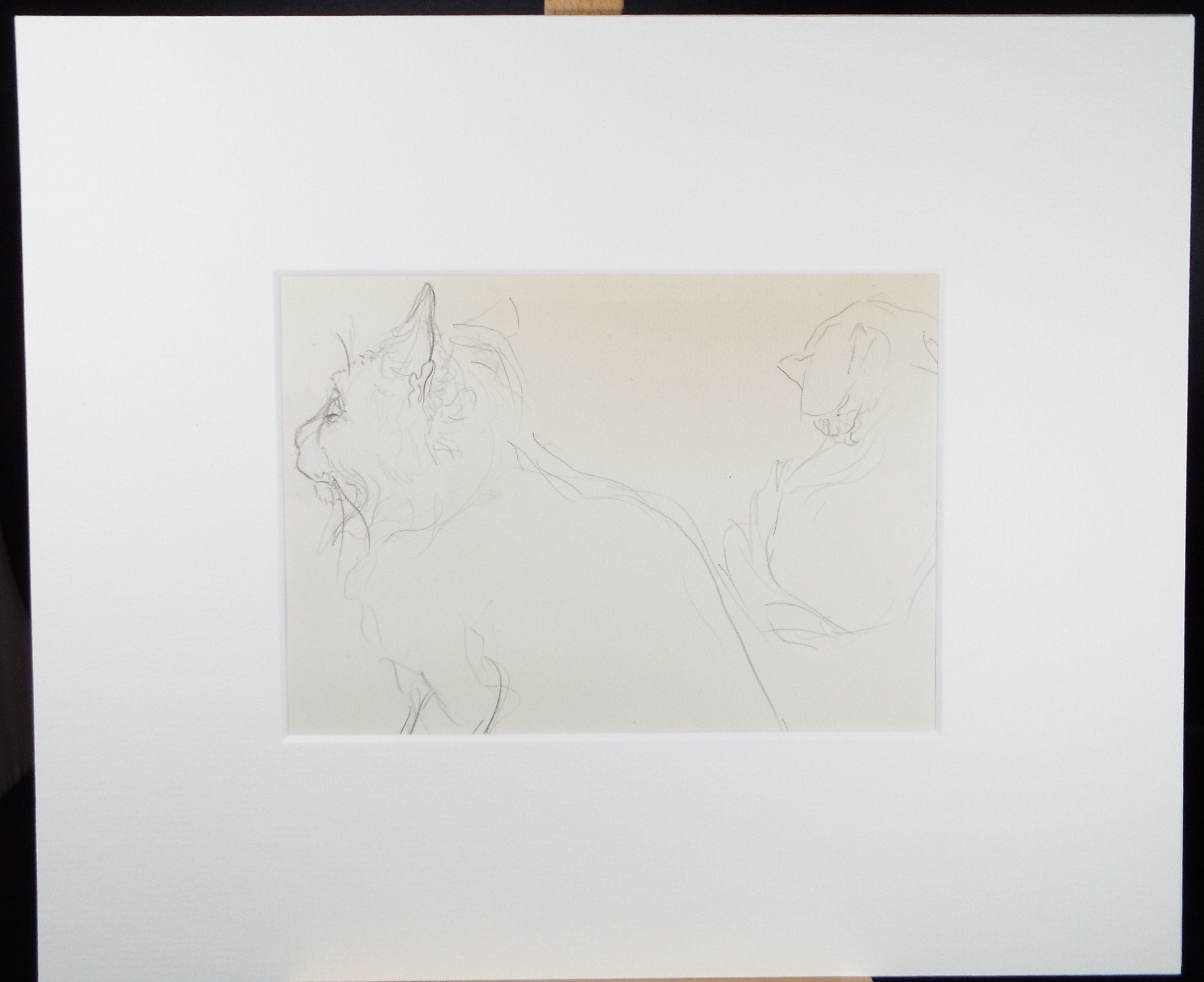Original Pencil Sketch,'Study of a Cat', Helen Collins (1921-1990), circa 1938/9