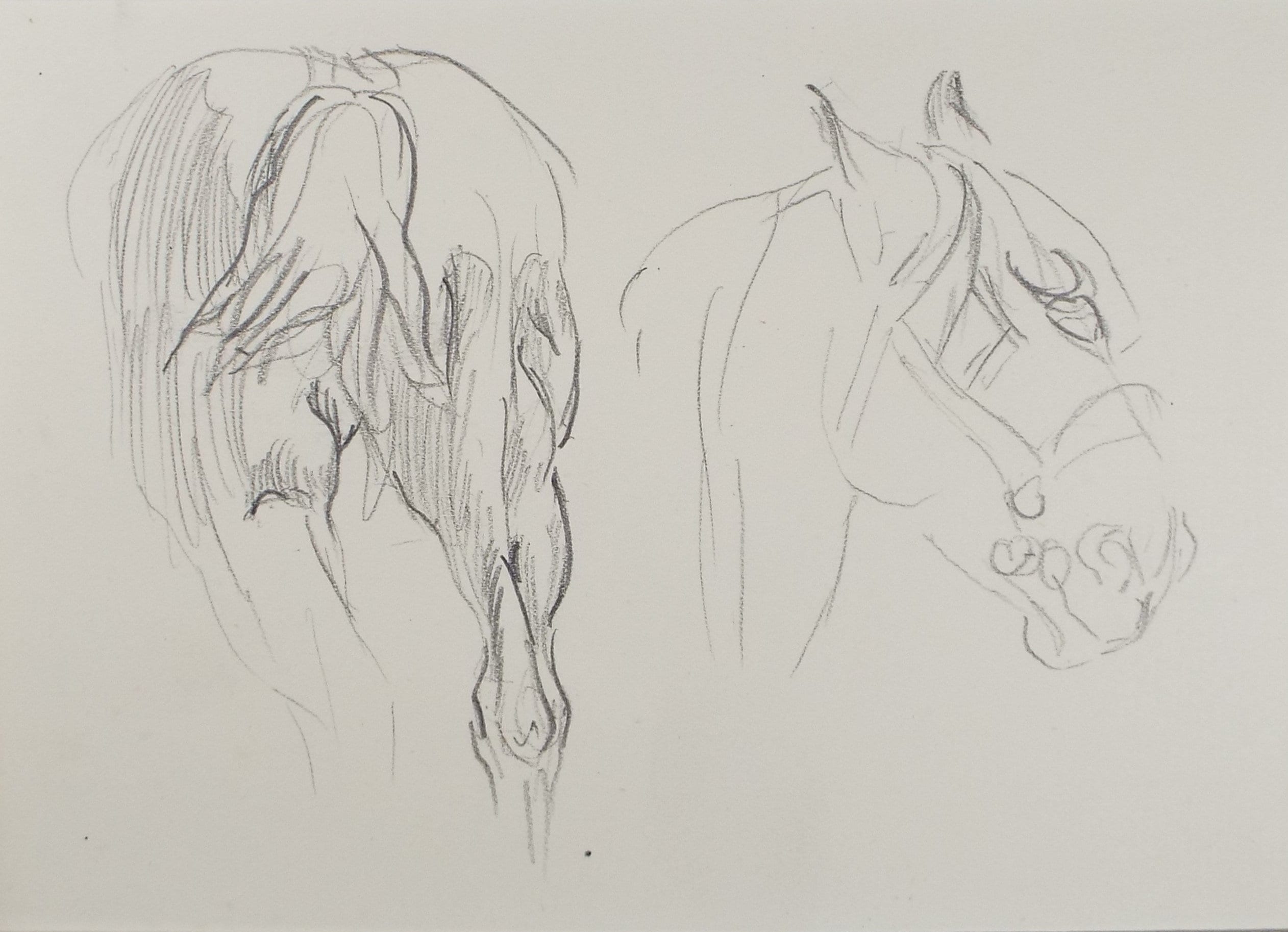 Original Pencil Sketch,'Study of a Heavy Horse', Helen Collins (1921-1990), circa 1938/9