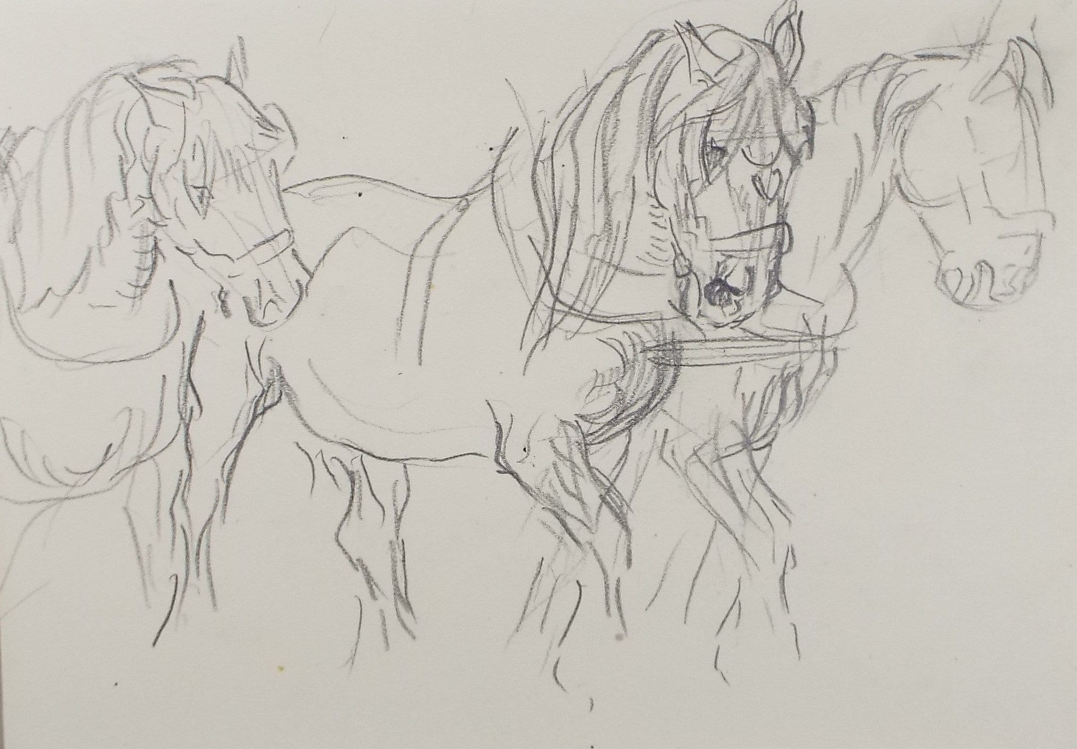 Original Pencil Sketch,'Study of Heavy Horses', Helen Collins (1921-1990), circa 1938/9