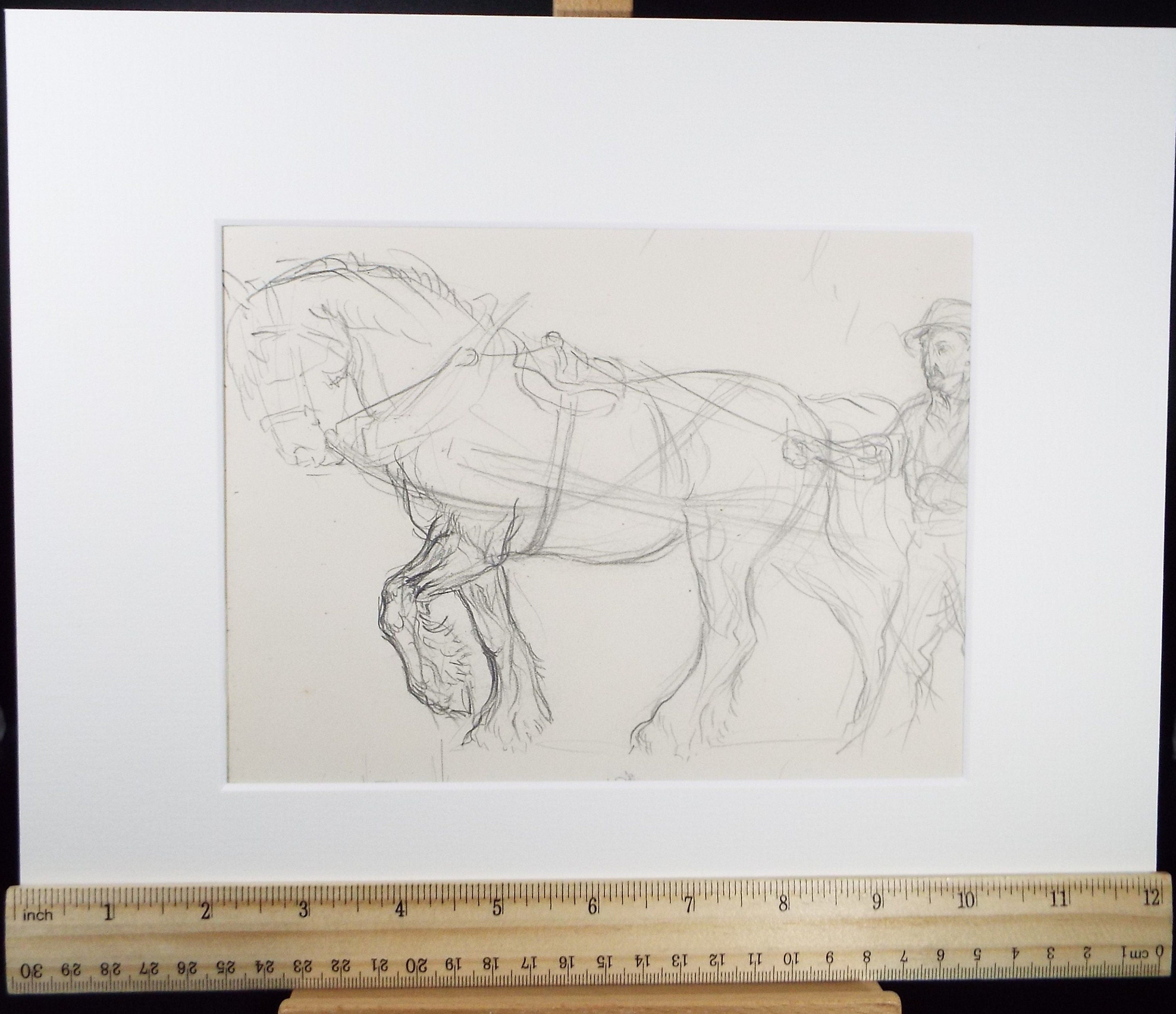 Original Pencil Sketch,'Study of a Heavy horse', Helen Collins (1921-1990), circa 1938/9