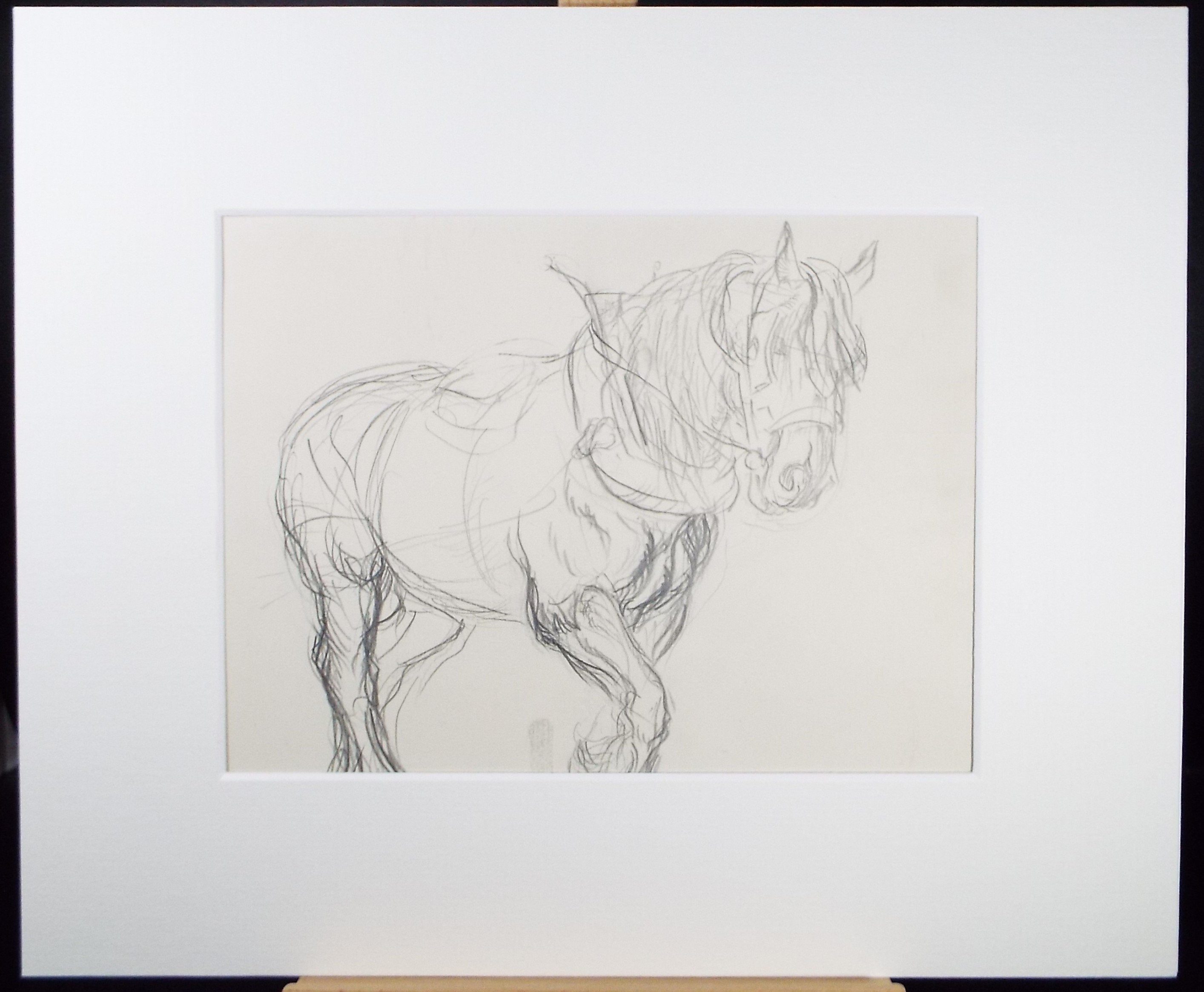 Original Pencil Sketch,'Study of a Heavy horse', Helen Collins (1921-1990), circa 1938/9