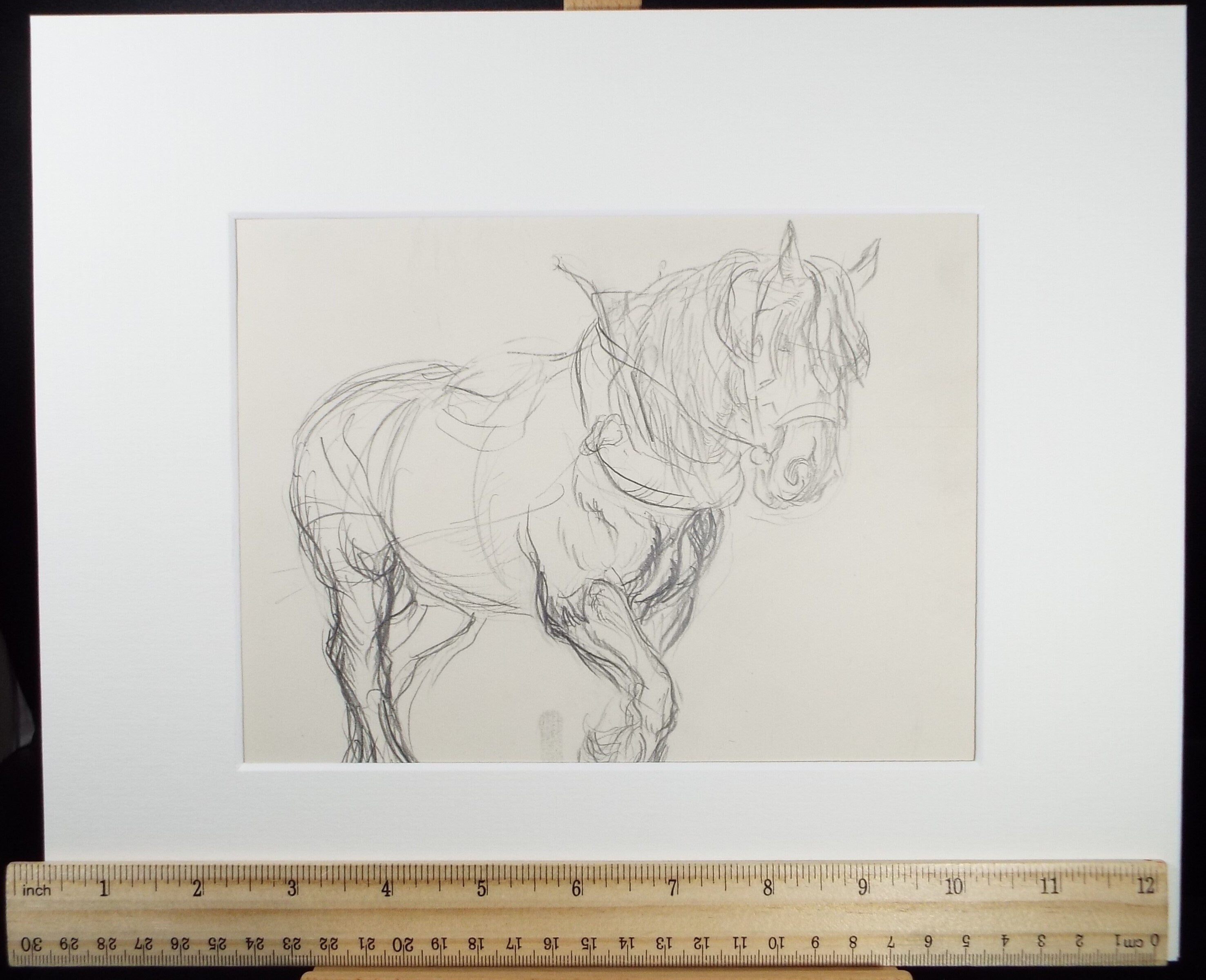 Original Pencil Sketch,'Study of a Heavy horse', Helen Collins (1921-1990), circa 1938/9