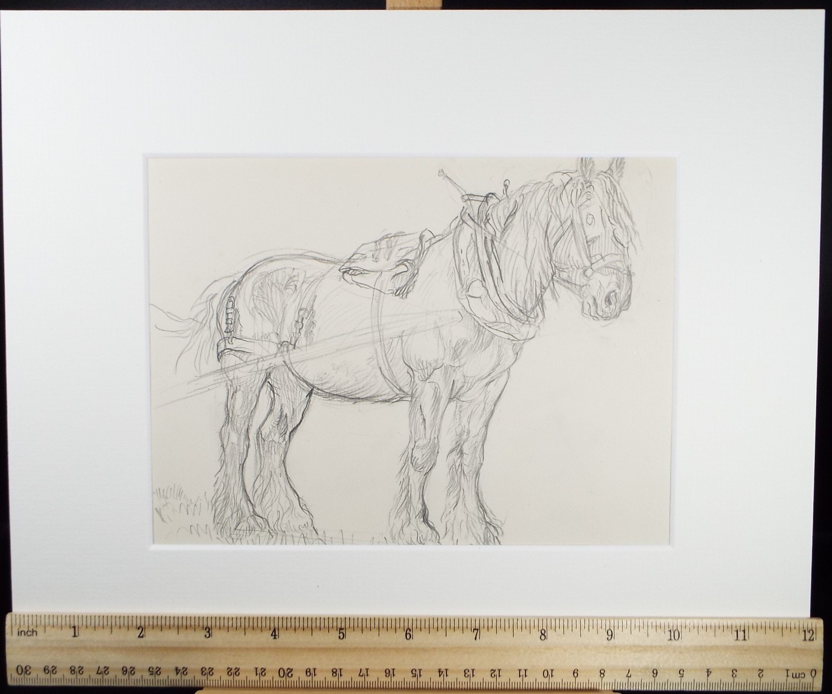 Original Pencil Sketch,'Study of a Heavy horse', Helen Collins (1921-1990), circa 1938/9