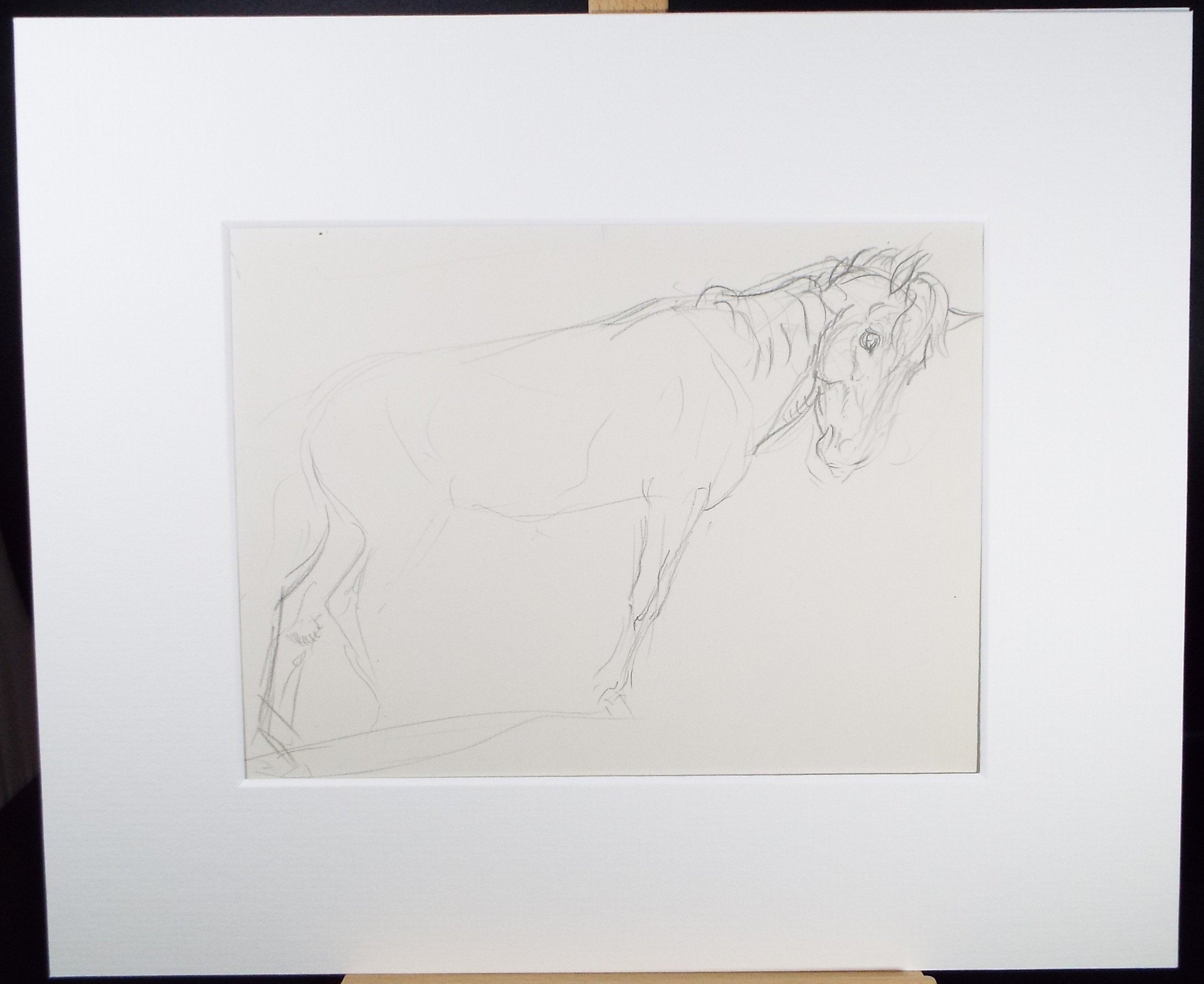 Original Pencil Sketch,'Study of a Heavy horse', Helen Collins (1921-1990), circa 1938/9