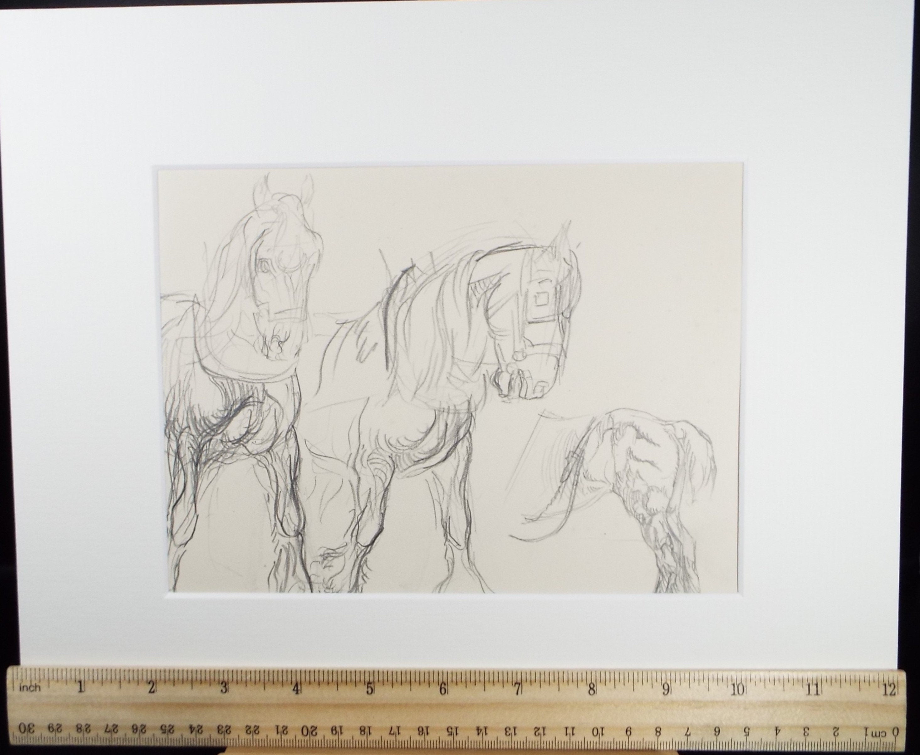 Original Pencil Sketch,'Study of Heavy horses', Helen Collins (1921-1990), circa 1938/9