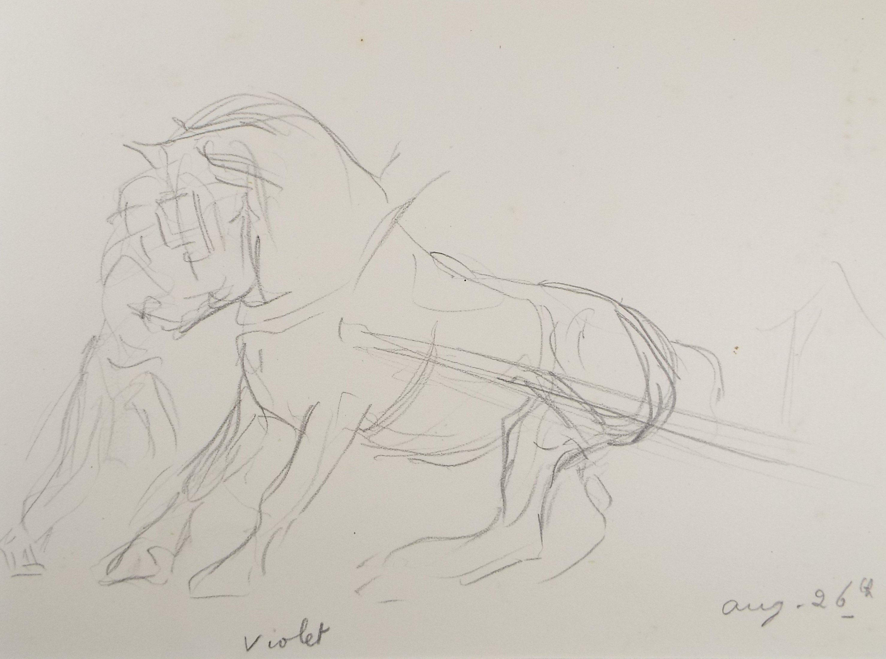 Original Pencil Sketch,'Study of a Heavy horse', Helen Collins (1921-1990), circa 1938/9