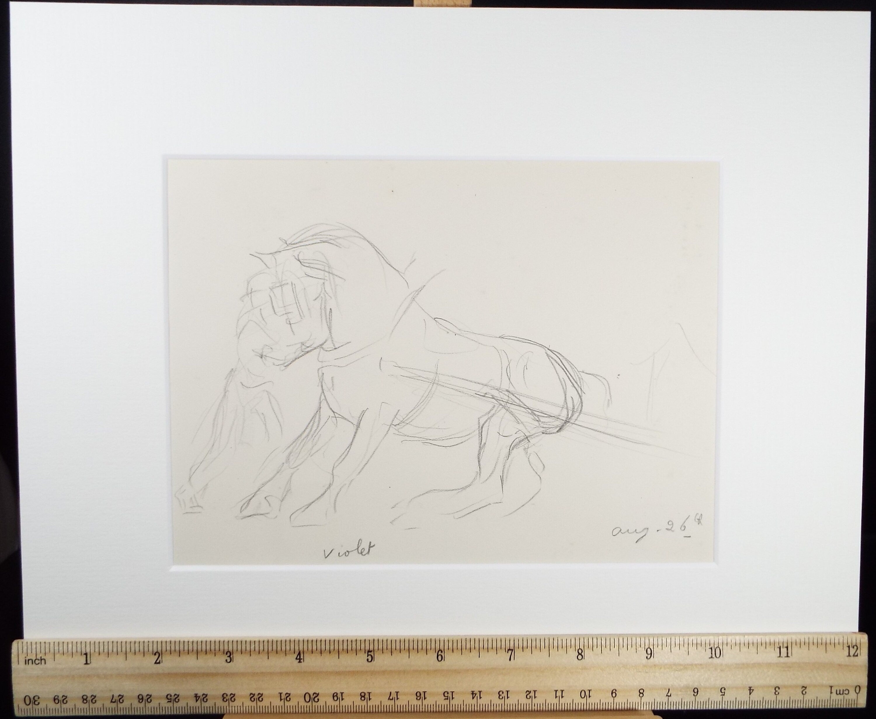 Original Pencil Sketch,'Study of a Heavy horse', Helen Collins (1921-1990), circa 1938/9