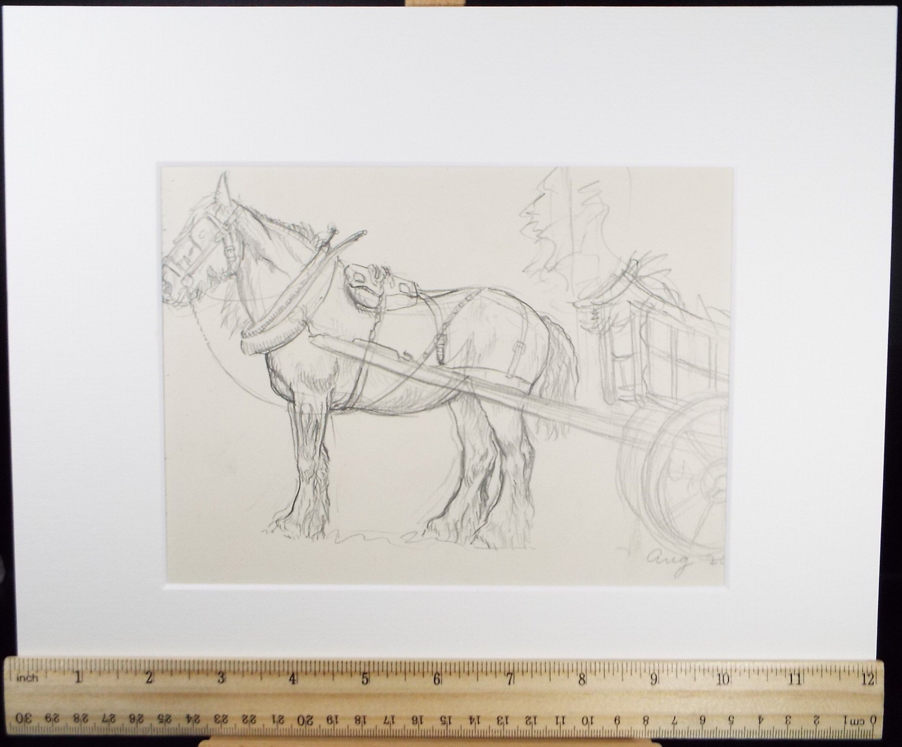 Original Pencil Sketch,'Study of a Heavy horse', Helen Collins (1921-1990), circa 1938/9