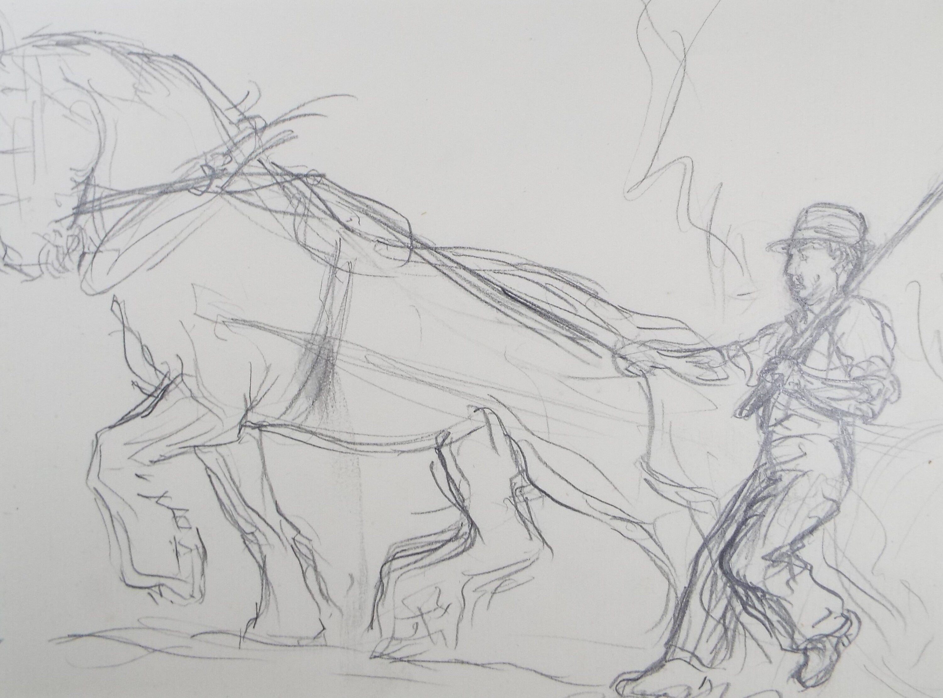 Original Pencil Sketch,'Study of a Heavy horse', Helen Collins (1921-1990), circa 1938/9