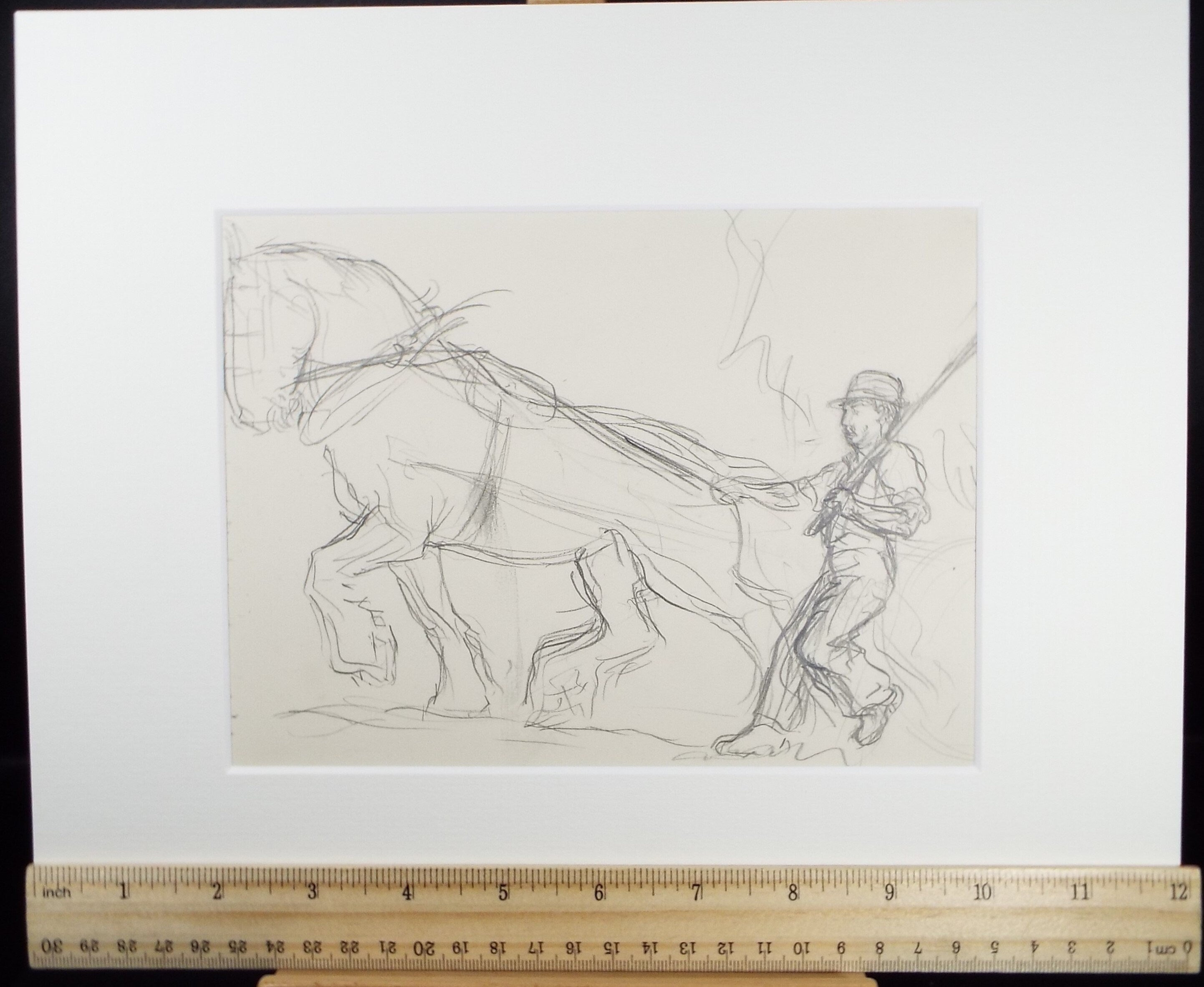 Original Pencil Sketch,'Study of a Heavy horse', Helen Collins (1921-1990), circa 1938/9