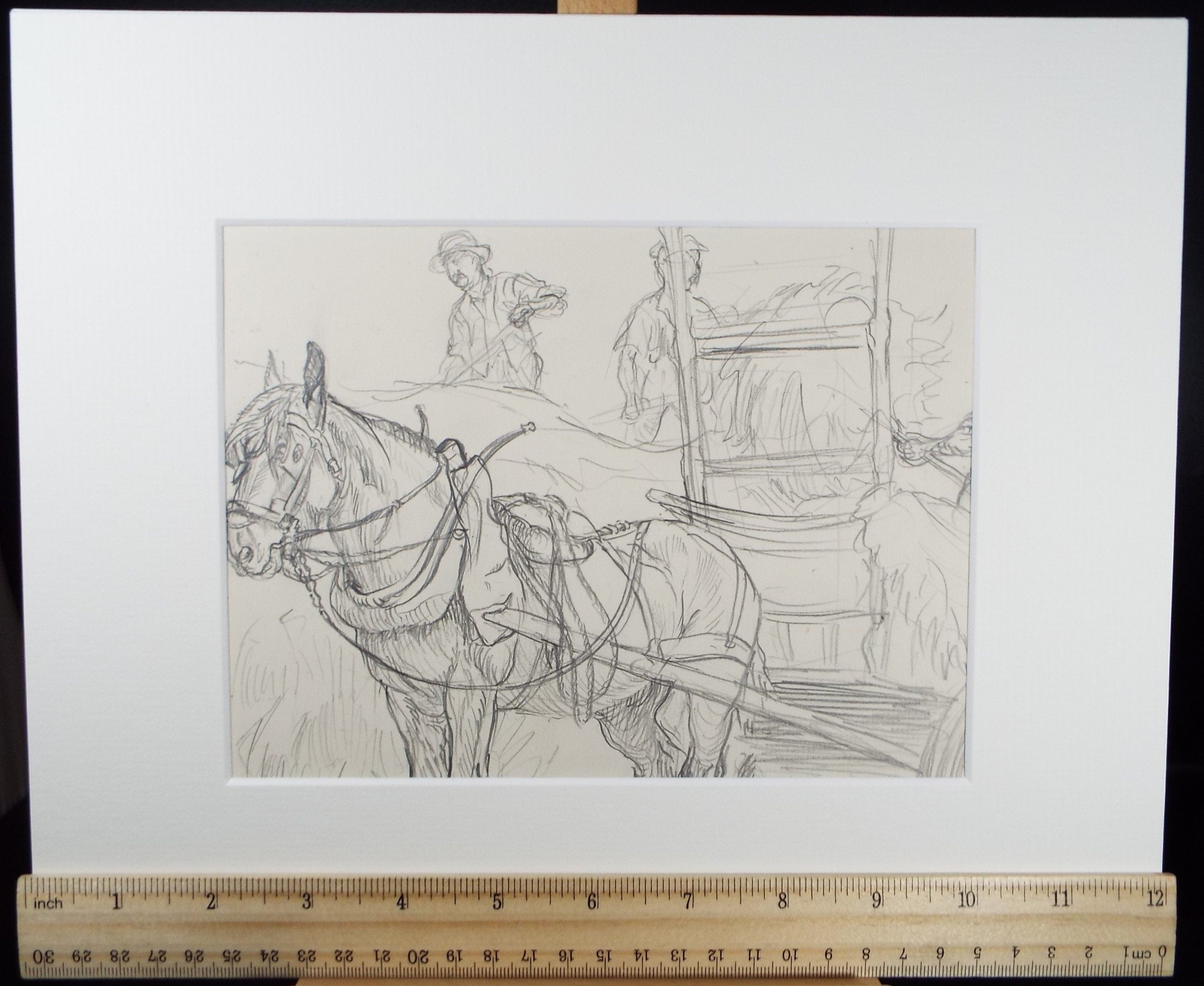 Original Pencil Sketch,'Study of a Heavy horse', Helen Collins (1921-1990), circa 1938/9