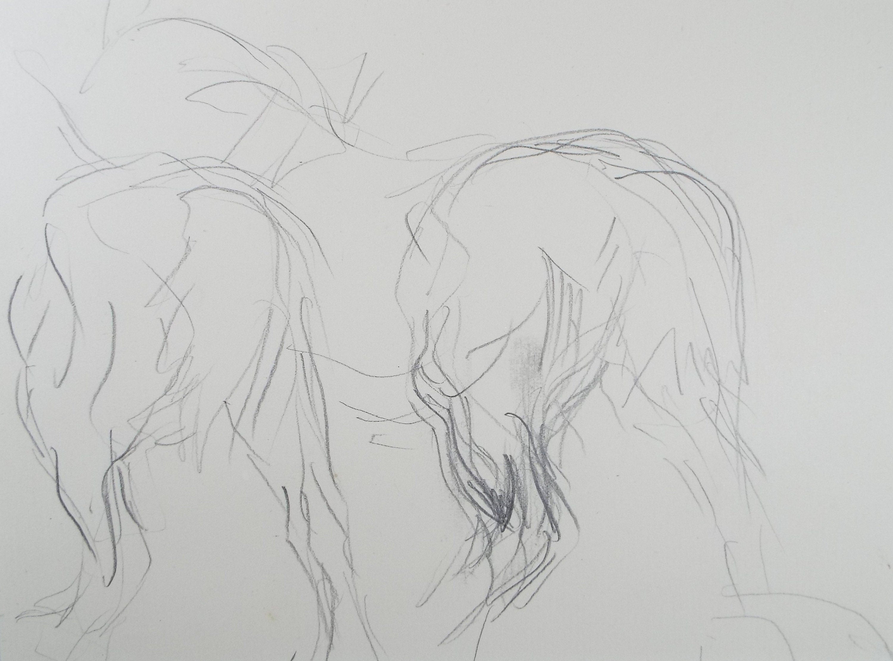 Original Pencil Sketch,'Study of Heavy horses', Helen Collins (1921-1990), circa 1938/9
