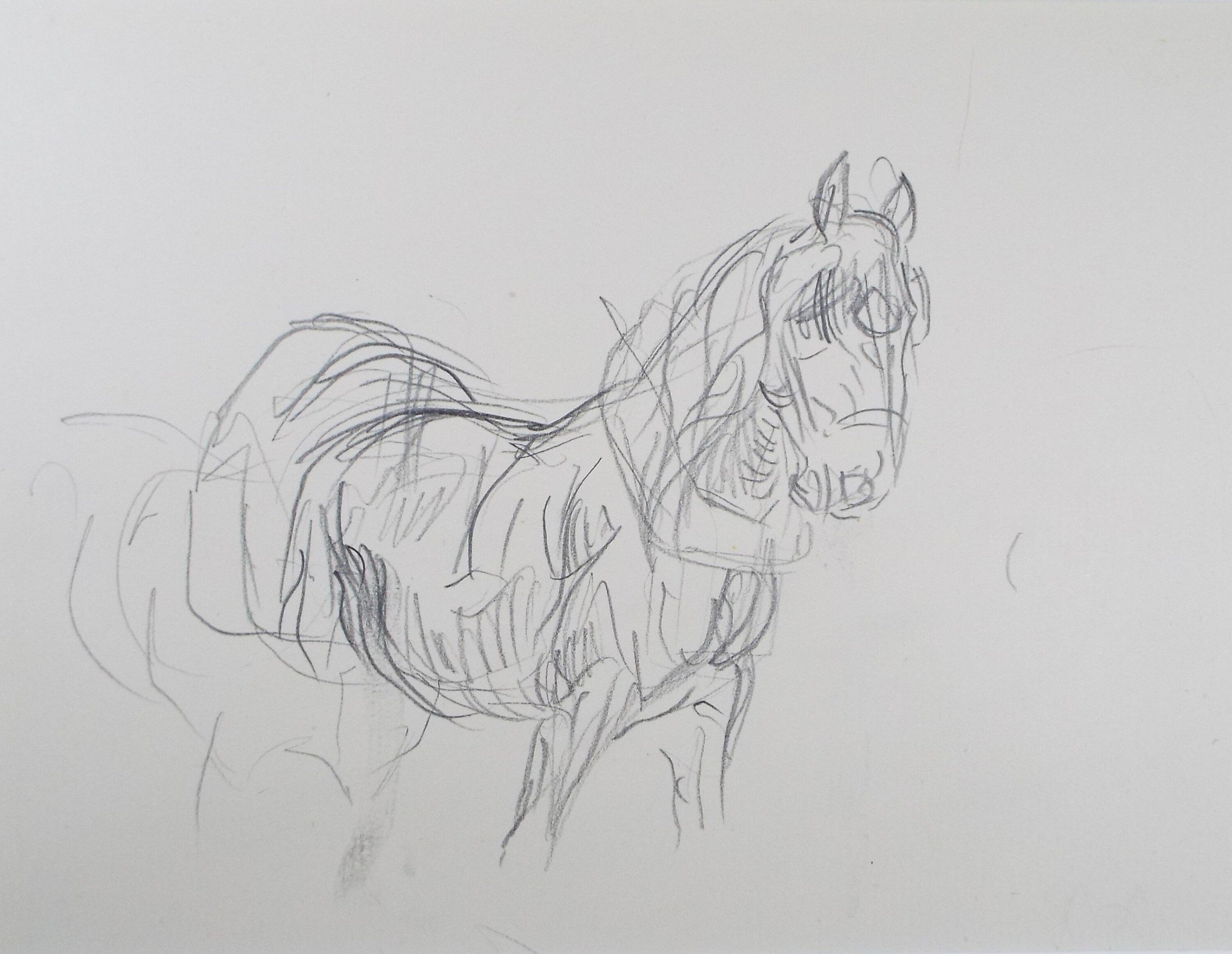 Original Pencil Sketch,'Study of a Heavy horse', Helen Collins (1921-1990), circa 1938/9
