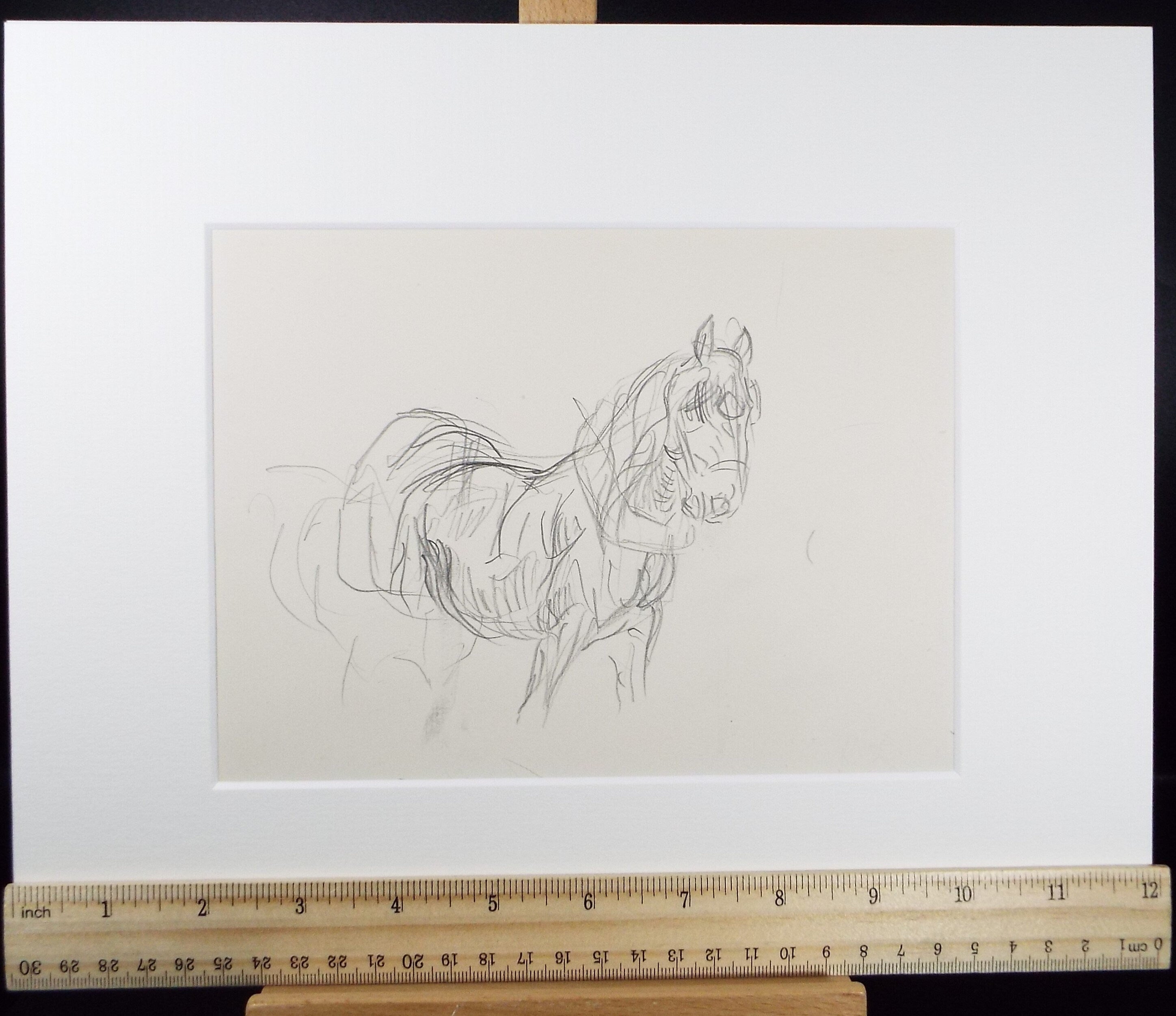 Original Pencil Sketch,'Study of a Heavy horse', Helen Collins (1921-1990), circa 1938/9