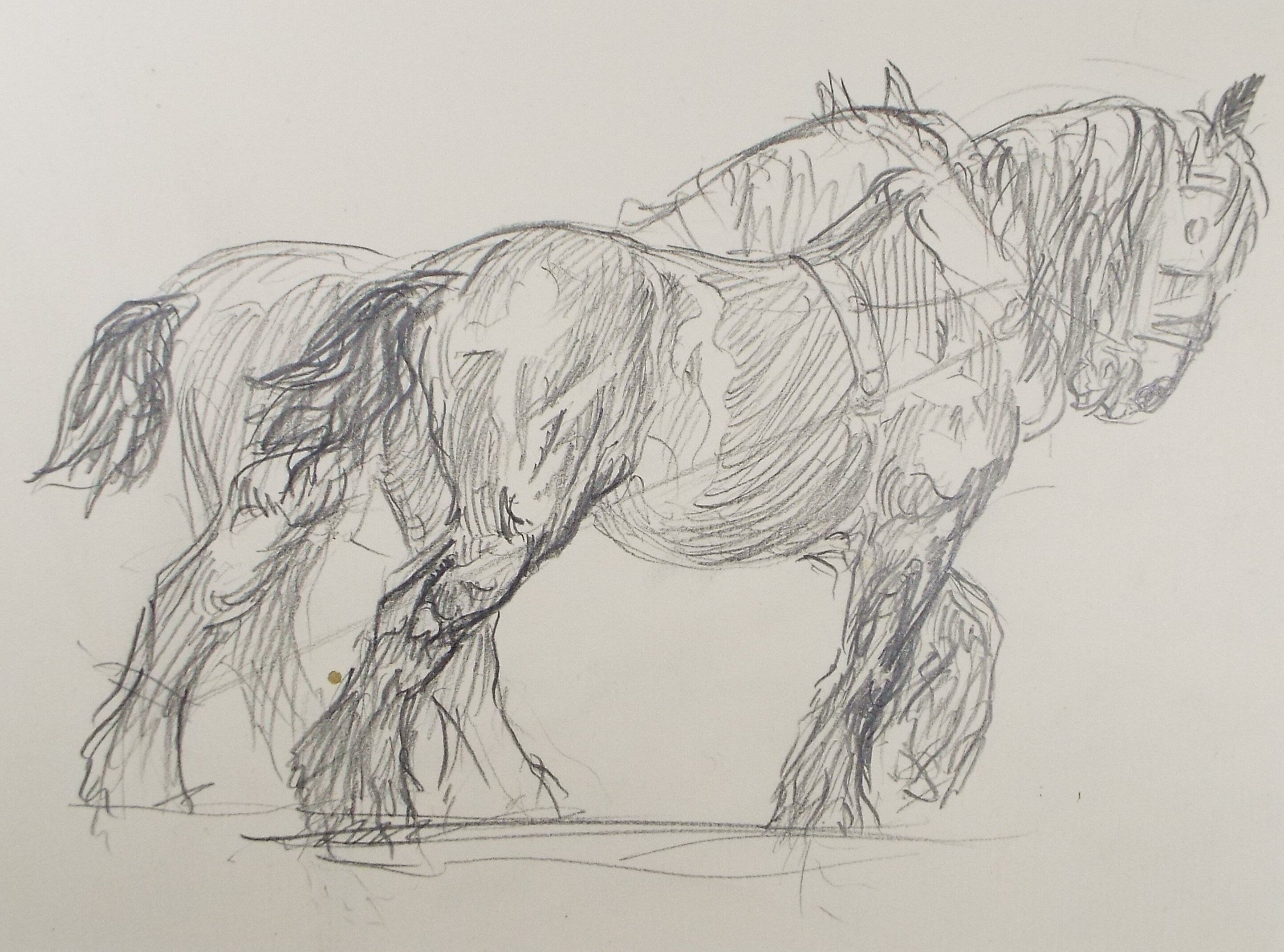 Original Pencil Sketch,'Study of Heavy horses', Helen Collins (1921-1990), circa 1938/9