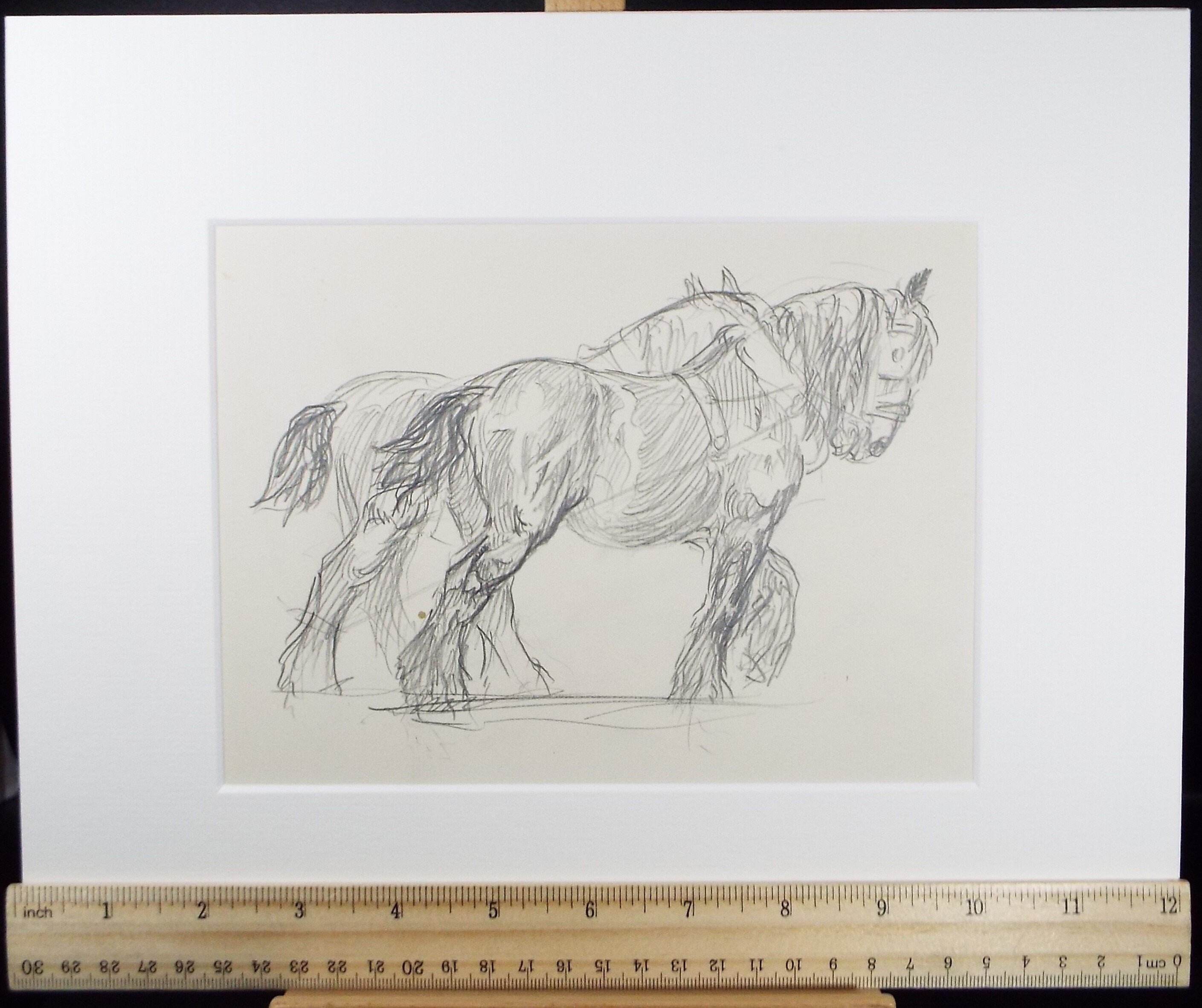 Original Pencil Sketch,'Study of Heavy horses', Helen Collins (1921-1990), circa 1938/9