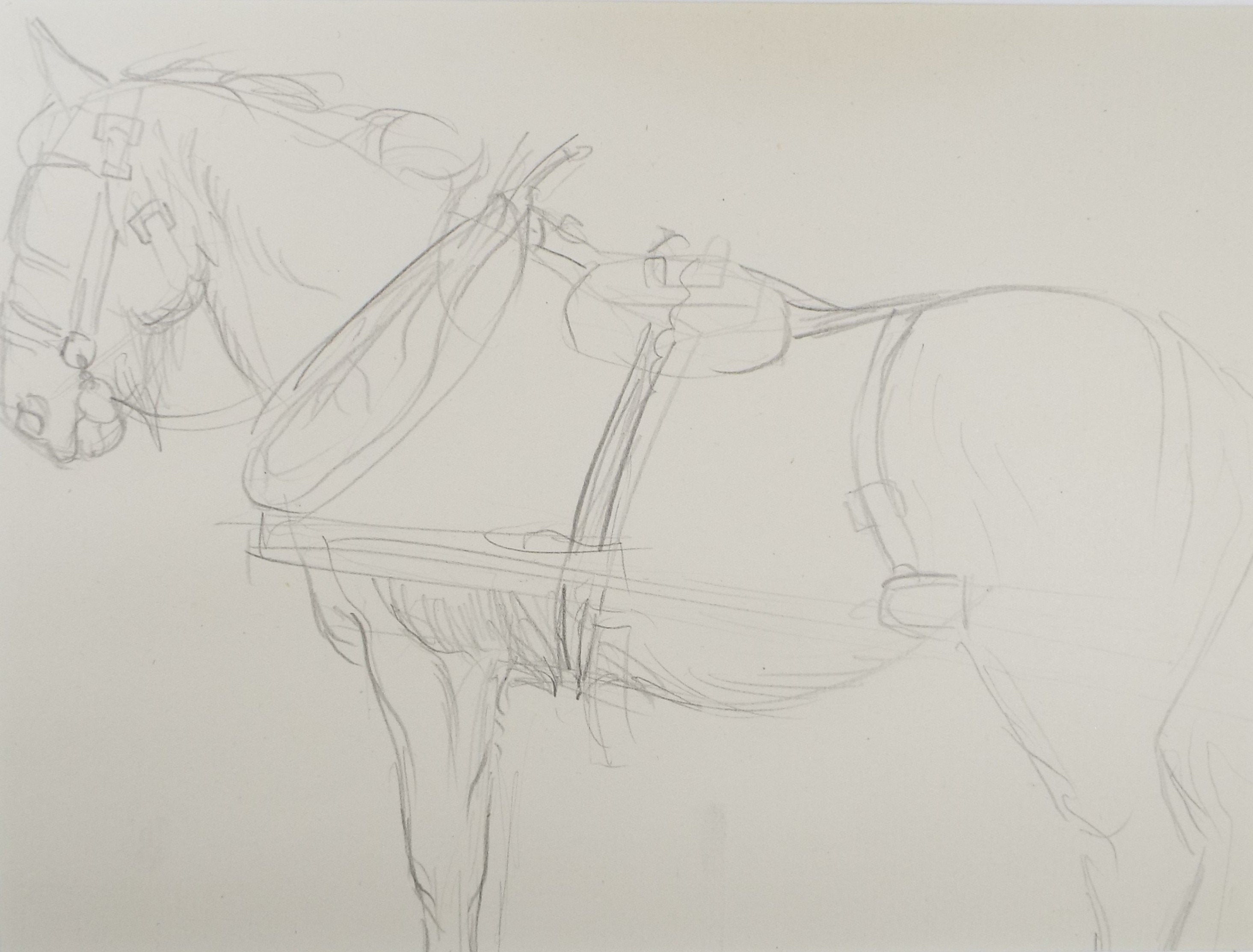 Original Pencil Sketch,'Study of a Heavy horse', Helen Collins (1921-1990), circa 1938/9