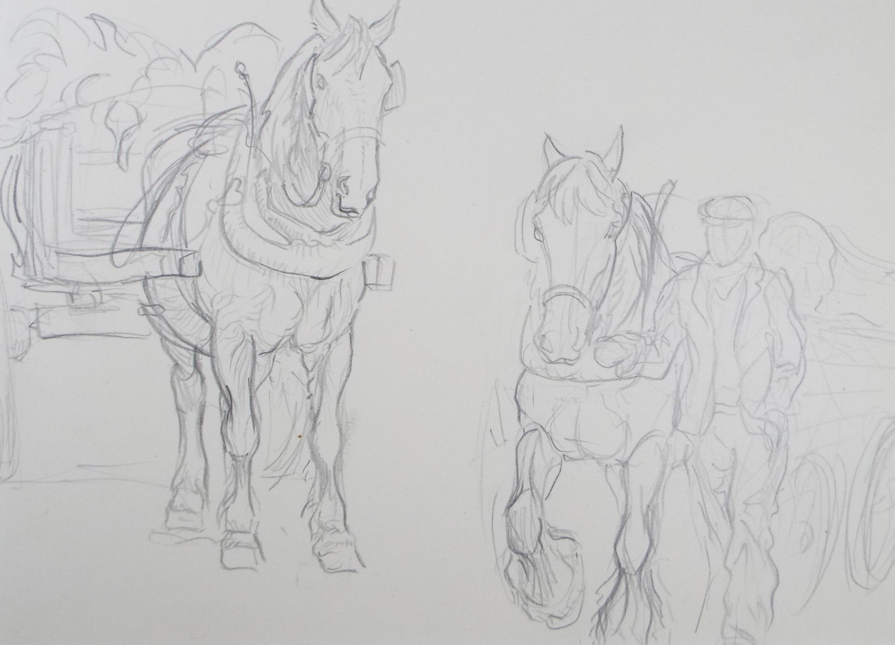 Original Pencil Sketch,'Study of Heavy horses', Helen Collins (1921-1990), circa 1938/9