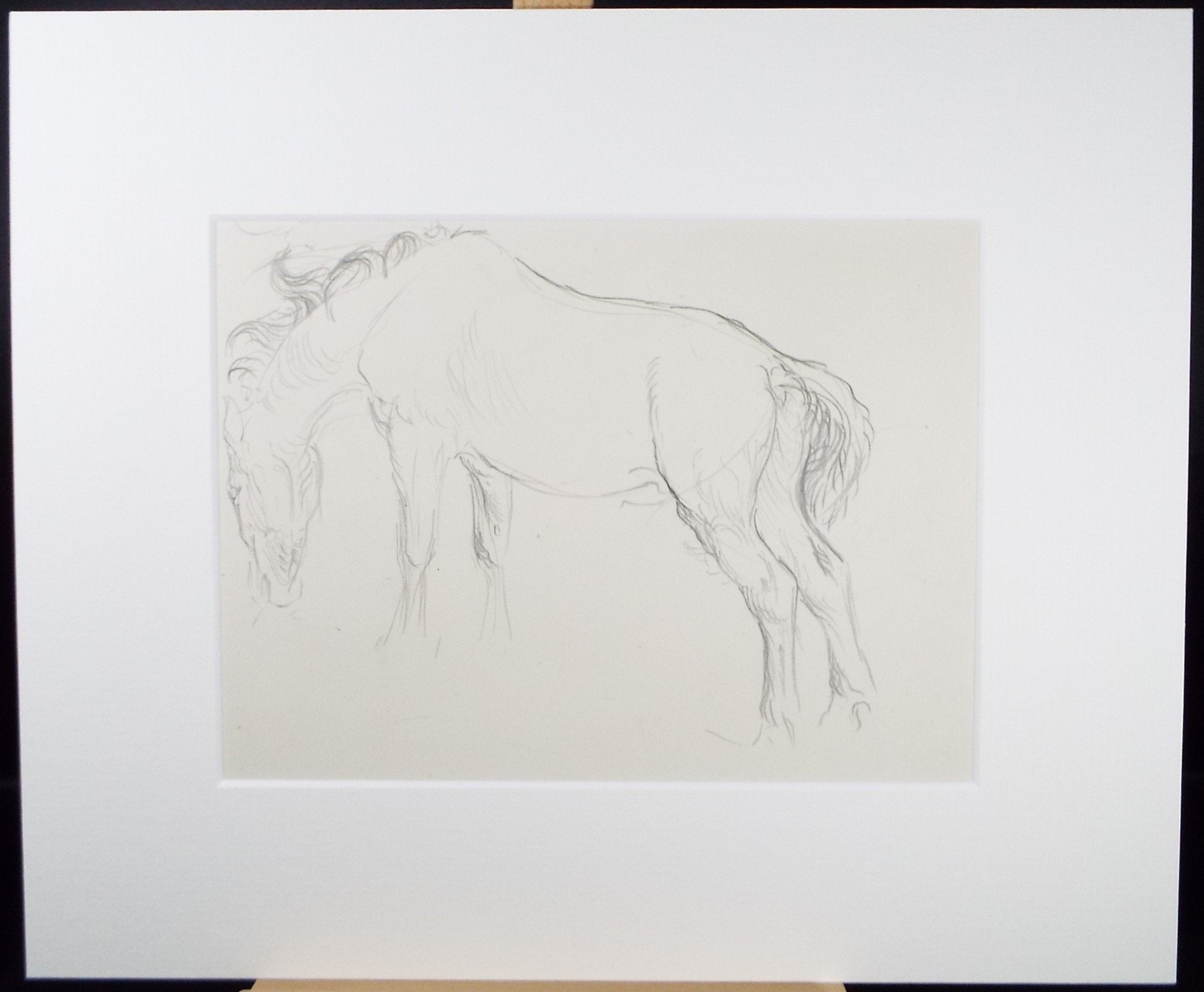 Original Pencil Sketch,'Study of a Heavy horse', Helen Collins (1921-1990), circa 1938/9