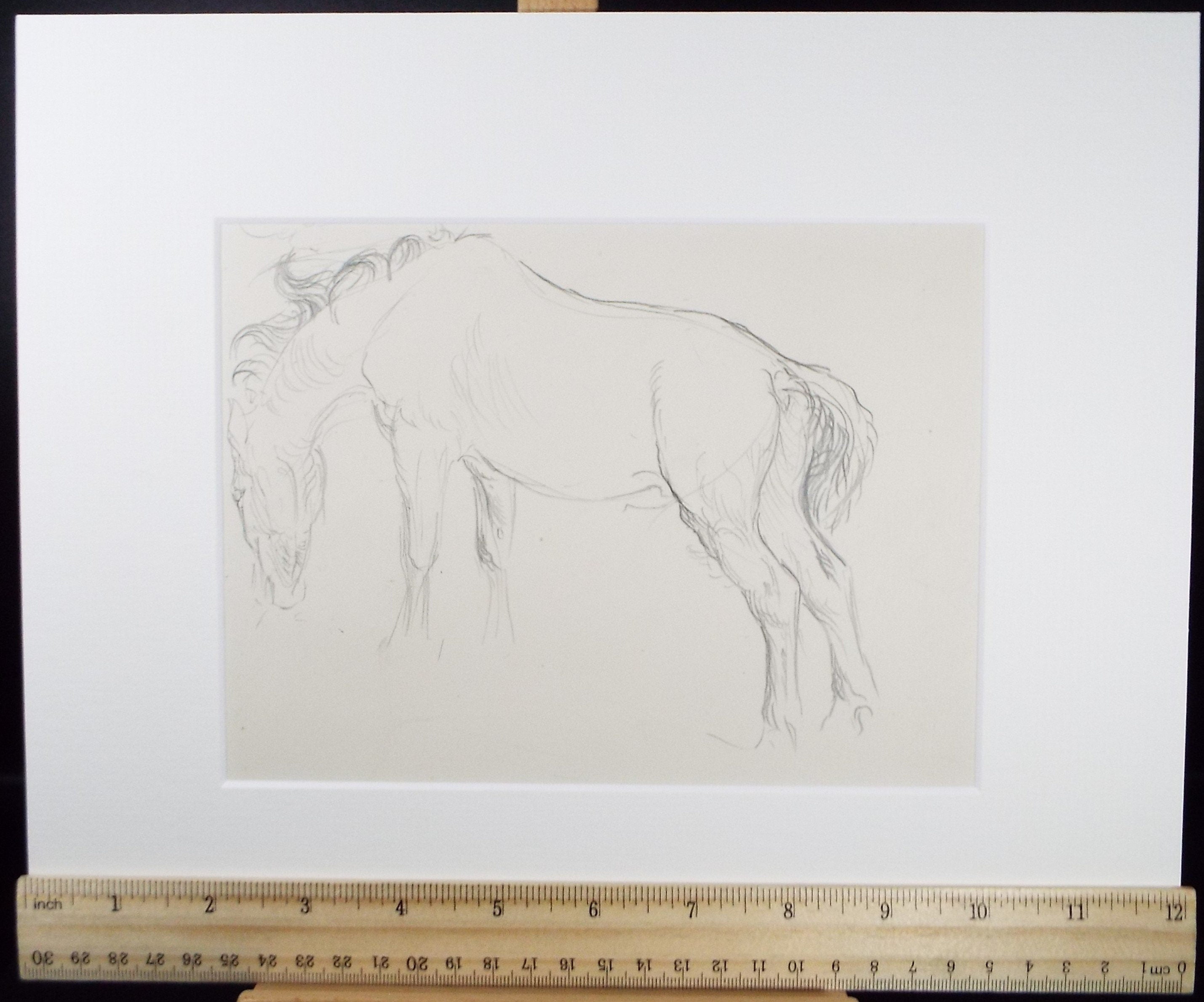 Original Pencil Sketch,'Study of a Heavy horse', Helen Collins (1921-1990), circa 1938/9