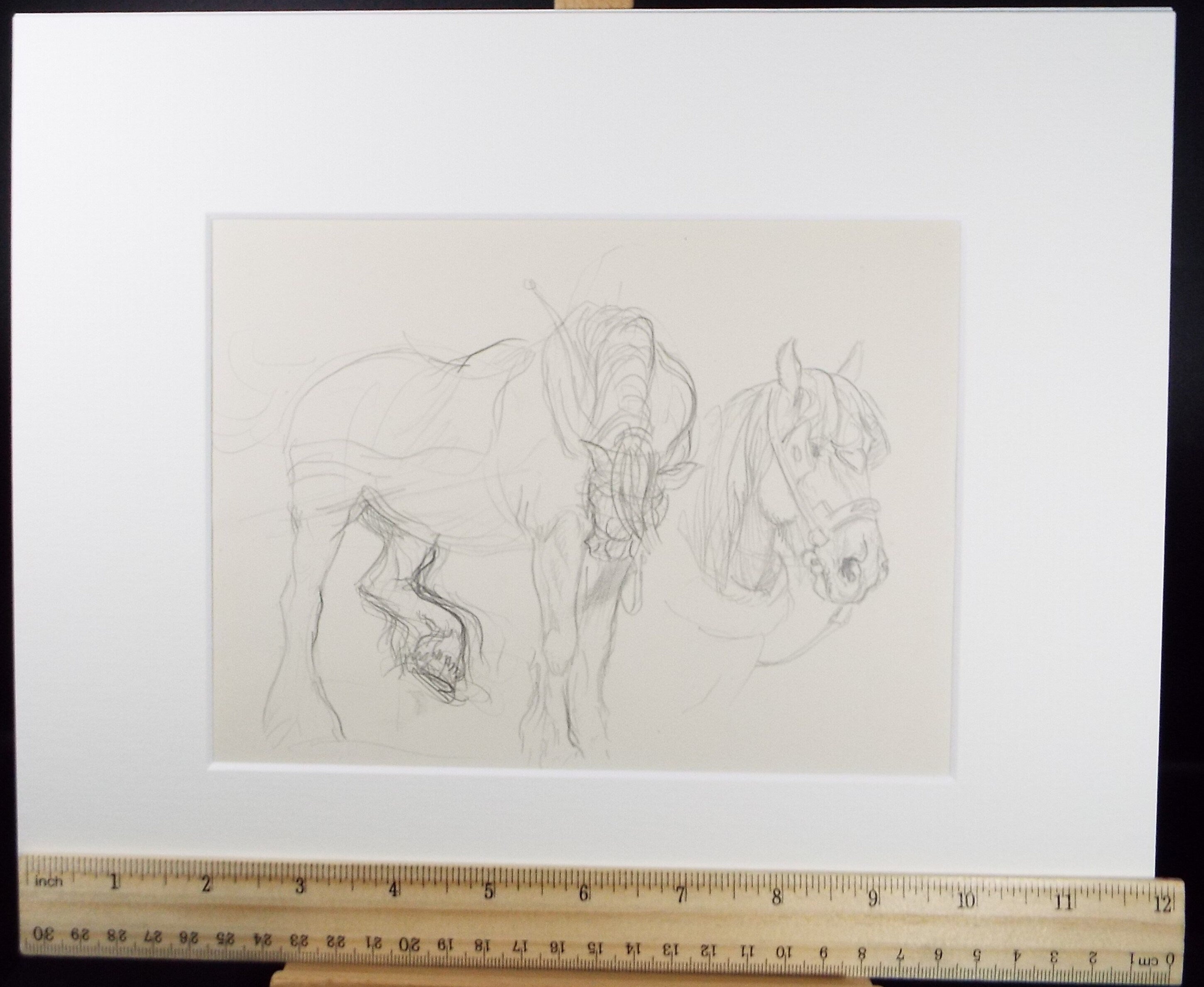 Original Pencil Sketch,'Study of Heavy horses', Helen Collins (1921-1990), circa 1938/9