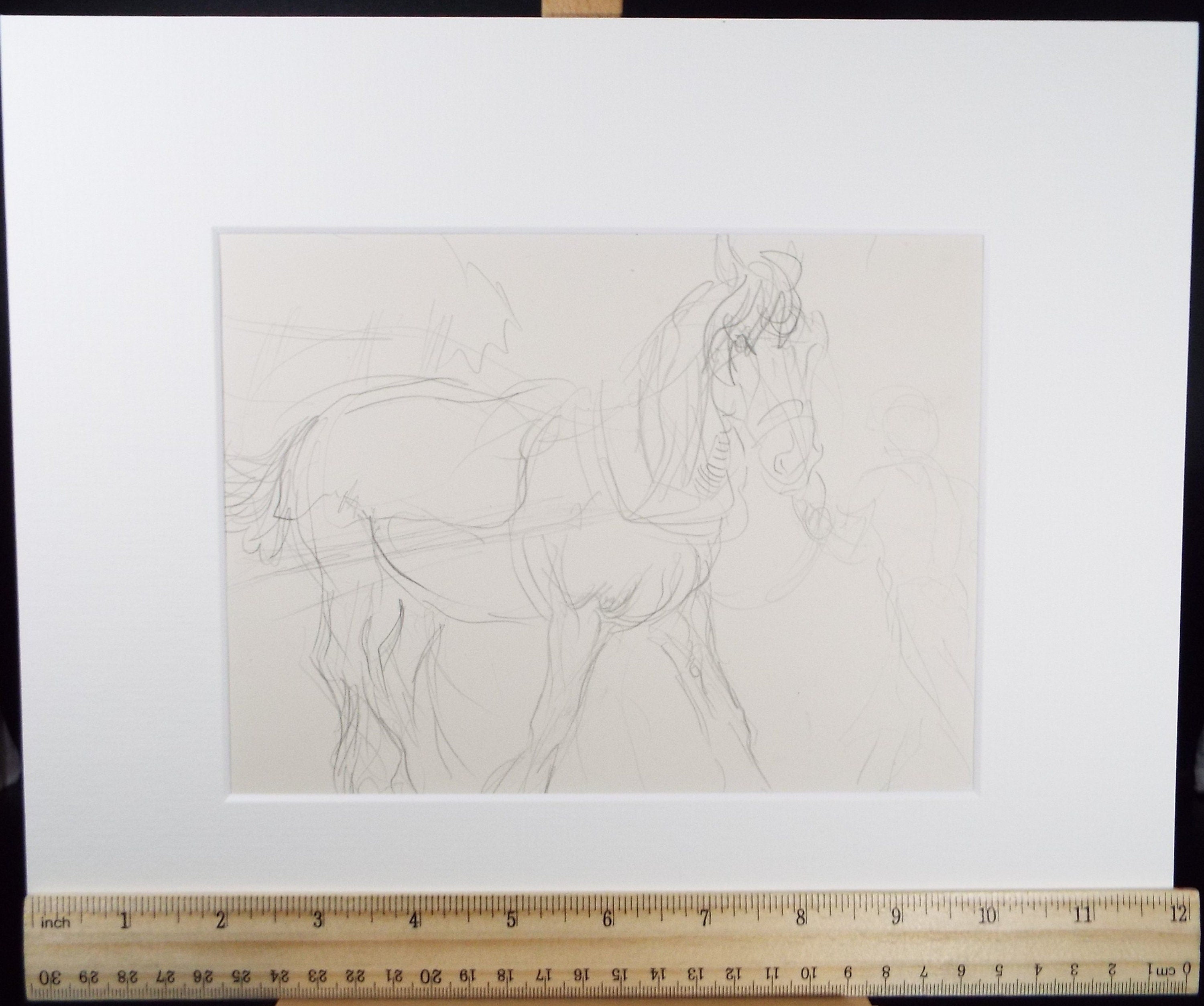 Original Pencil Sketch,'Study of a Heavy horse', Helen Collins (1921-1990), circa 1938/9