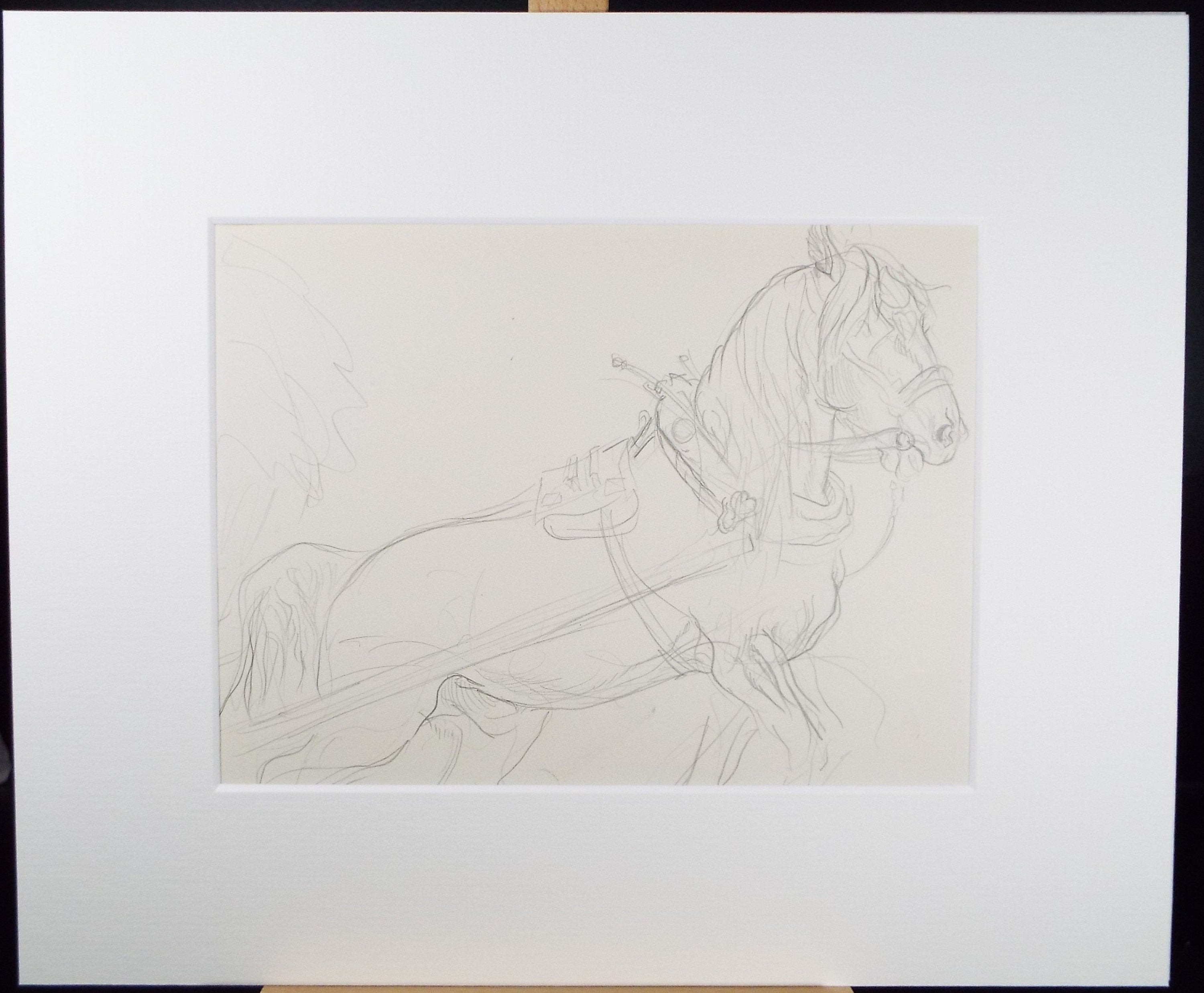 Original Pencil Sketch,'Study of a Heavy horse', Helen Collins (1921-1990), circa 1938/9