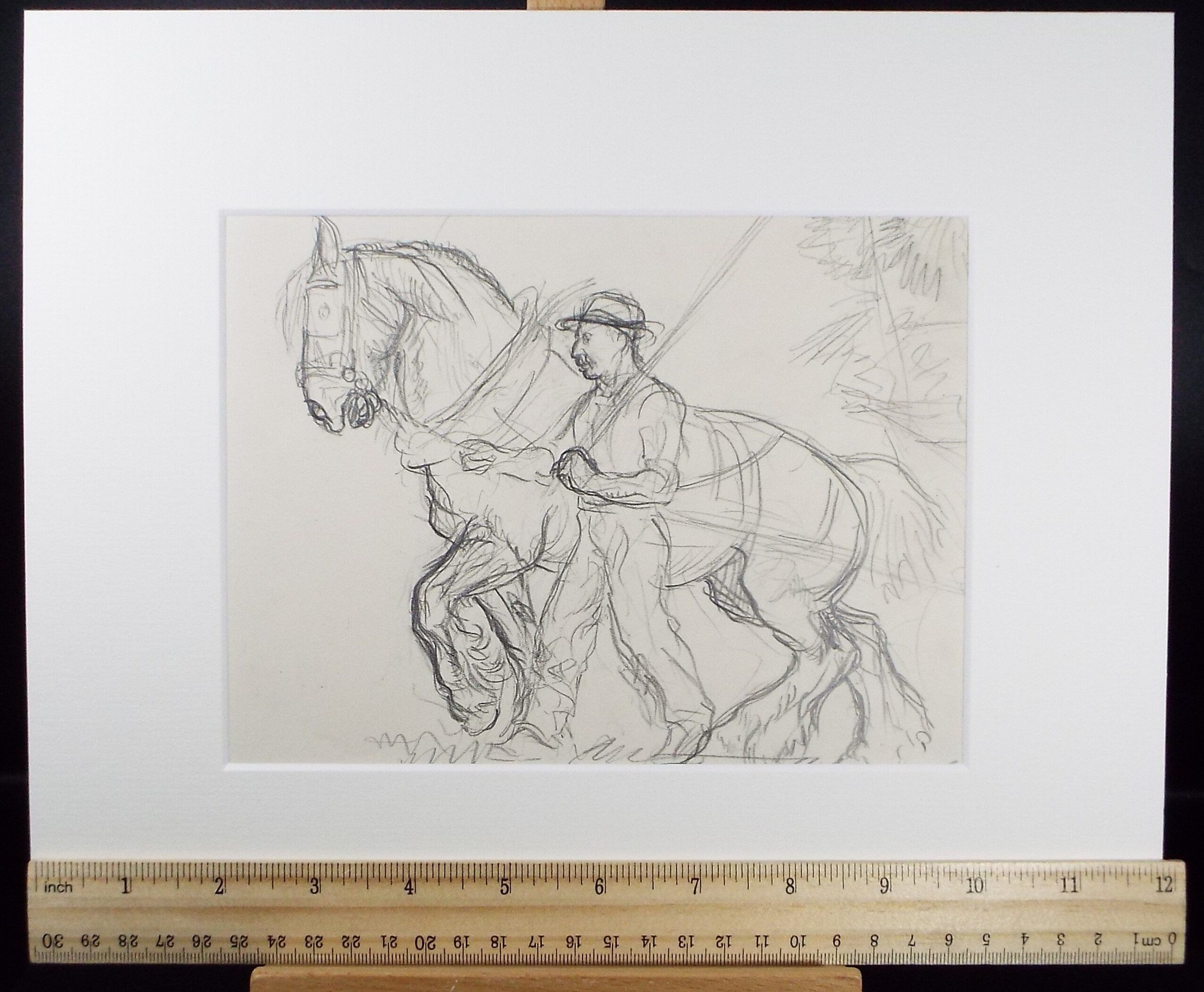 Original Pencil Sketch,'Study of a Heavy horse', Helen Collins (1921-1990), circa 1938/9