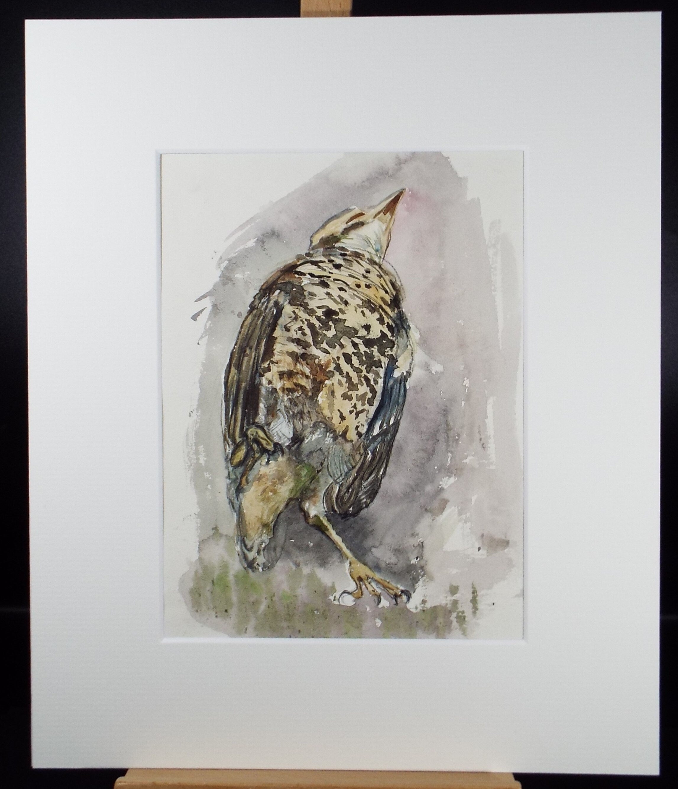 Original Watercolour on Paper, 'Study of a Bittern', Leslie Duxbury ARCA (1921-2001), Circa 1950's