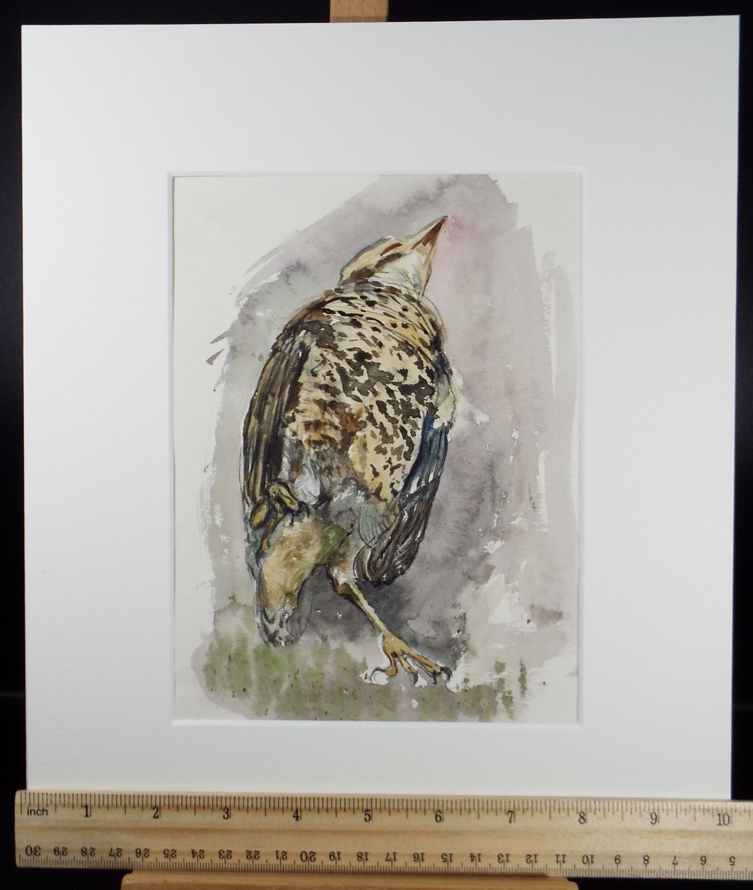 Original Watercolour on Paper, 'Study of a Bittern', Leslie Duxbury ARCA (1921-2001), Circa 1950's
