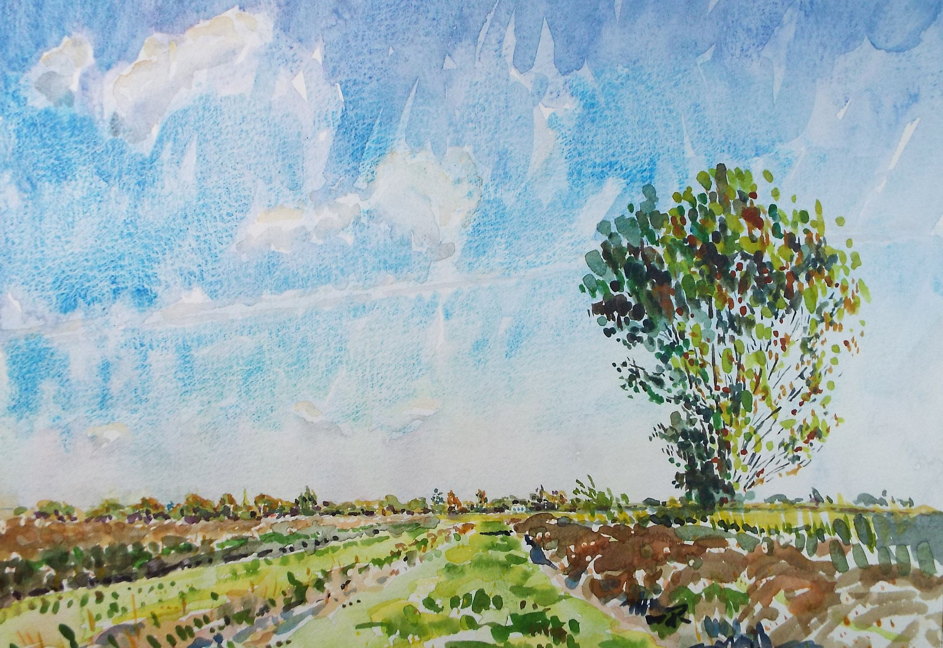 Original Watercolour,'Spring Field', Roger Alsop, dated 1986