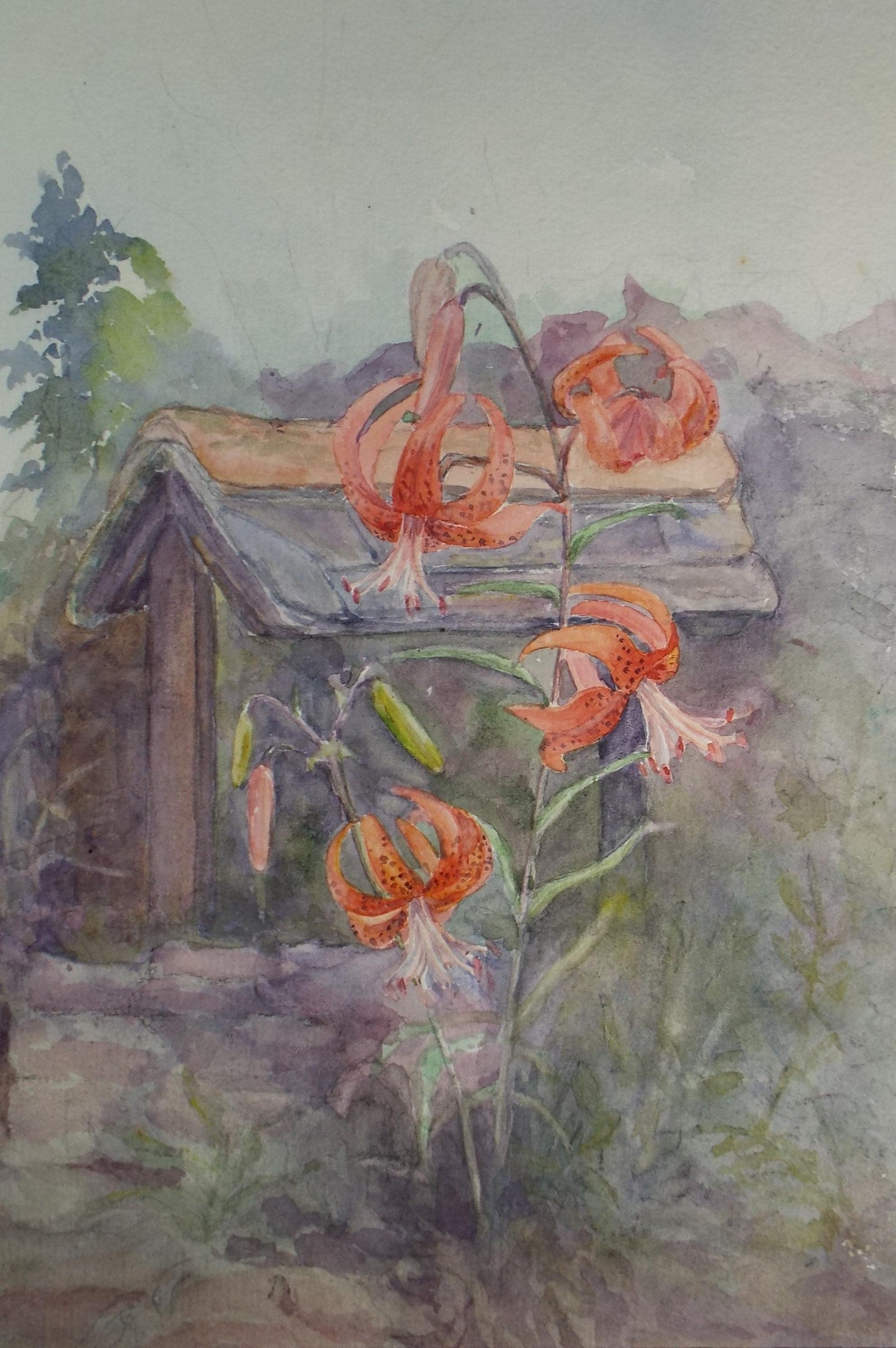 Original Watercolour,'Lily in a Landscape', Artist Unknown, circa 1970's